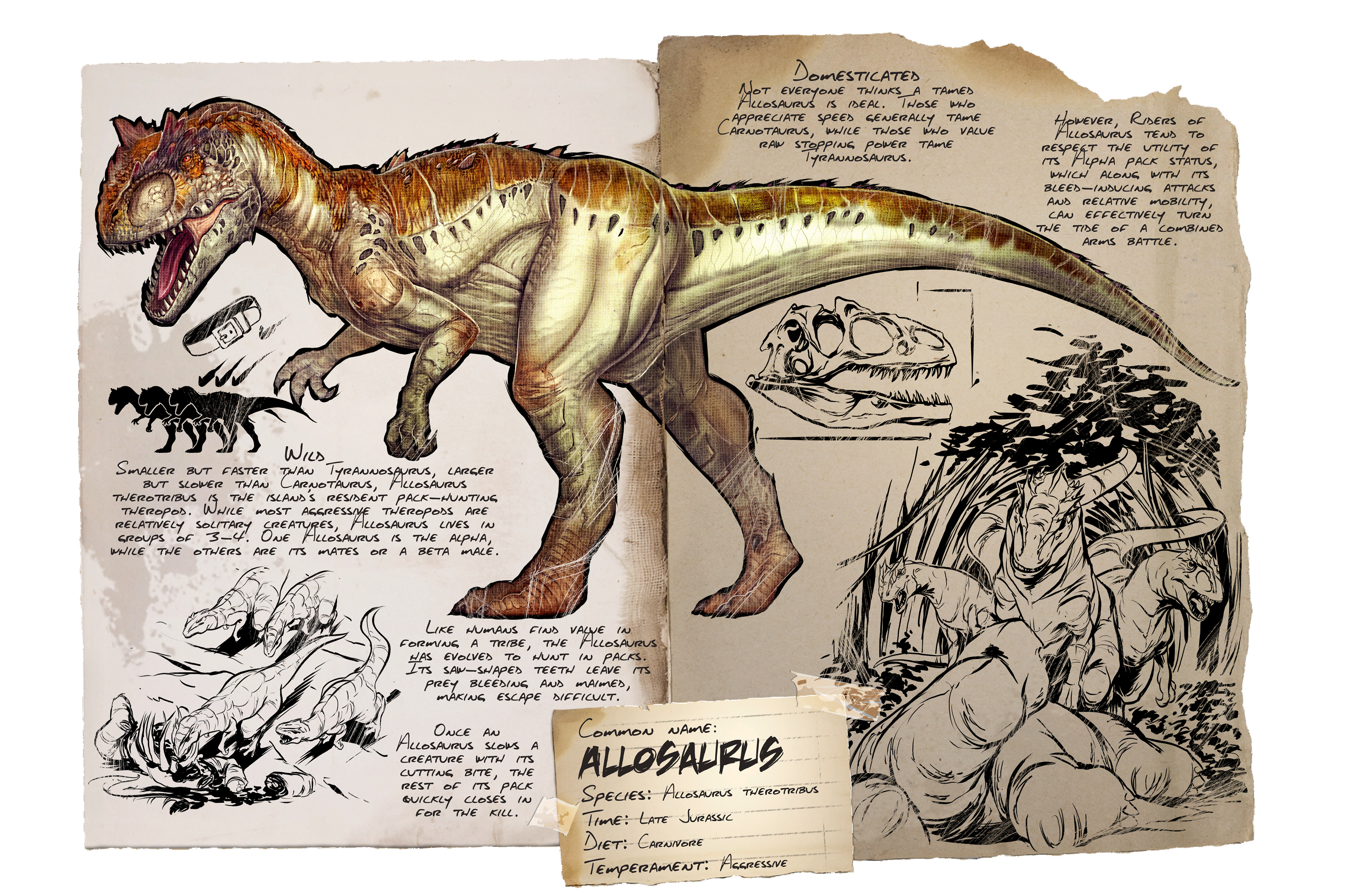 Allosaurus &middot; Dossier