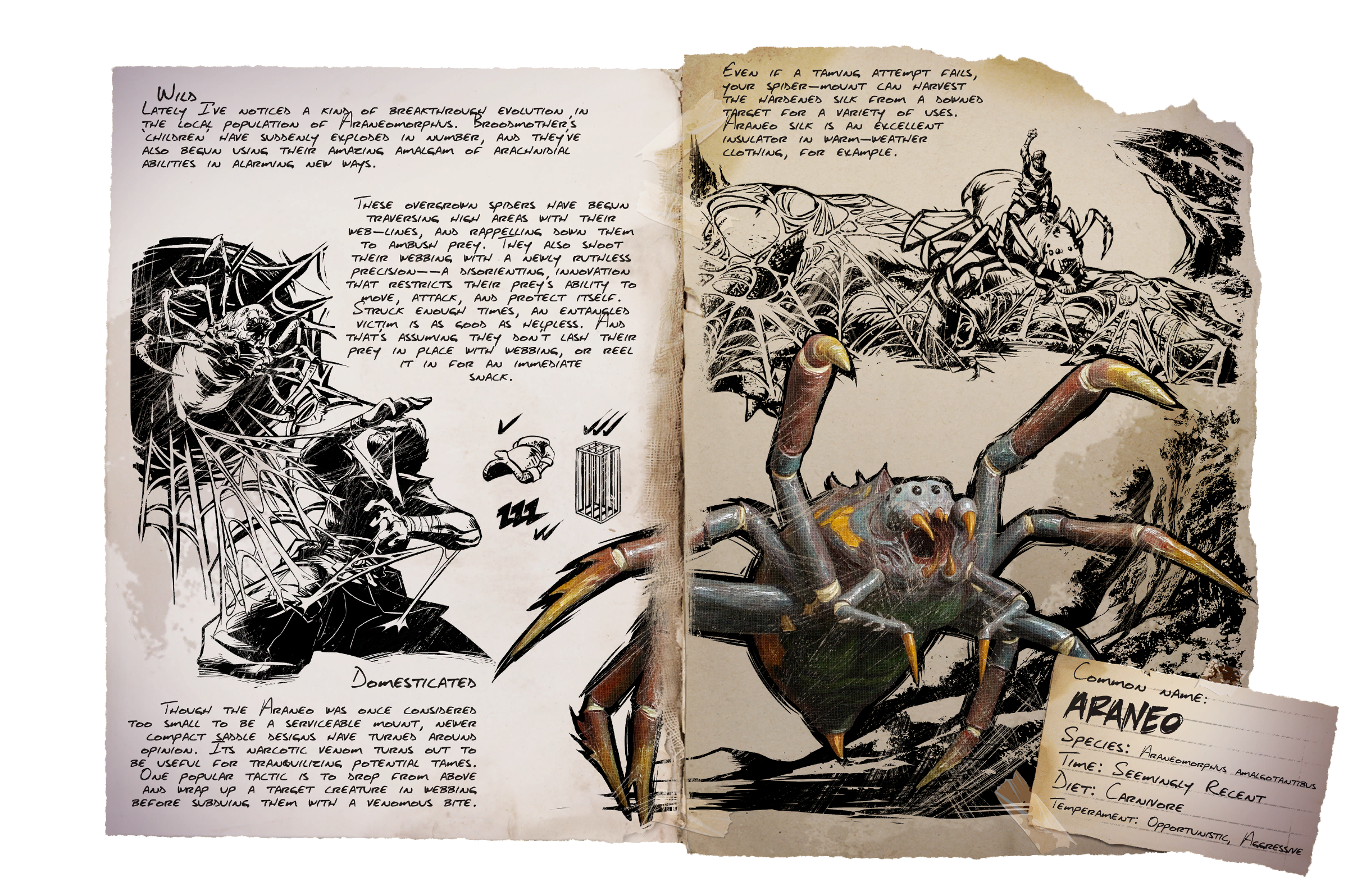 Araneo &middot; Dossier