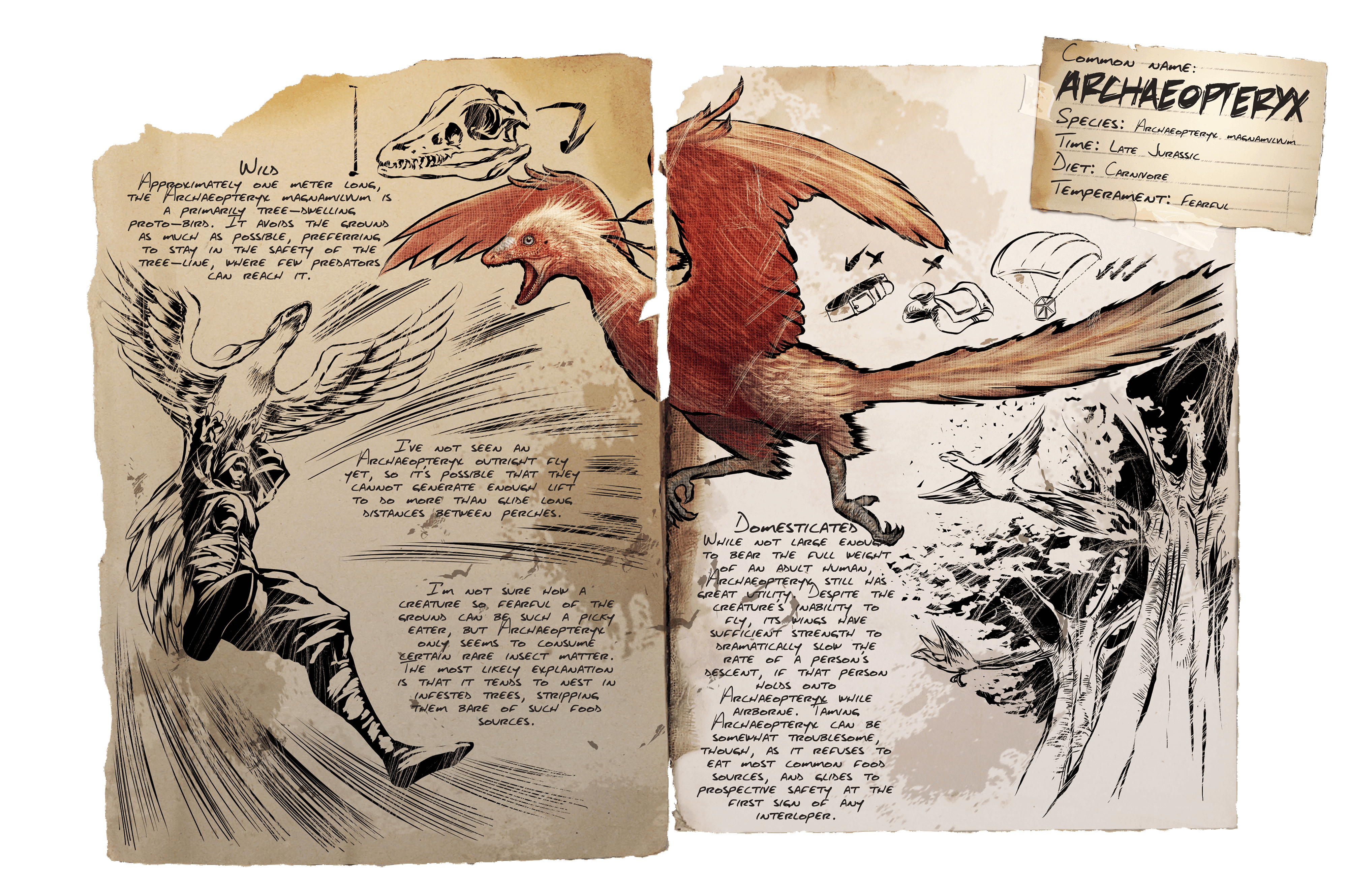 Archaeopteryx &middot; Dossier