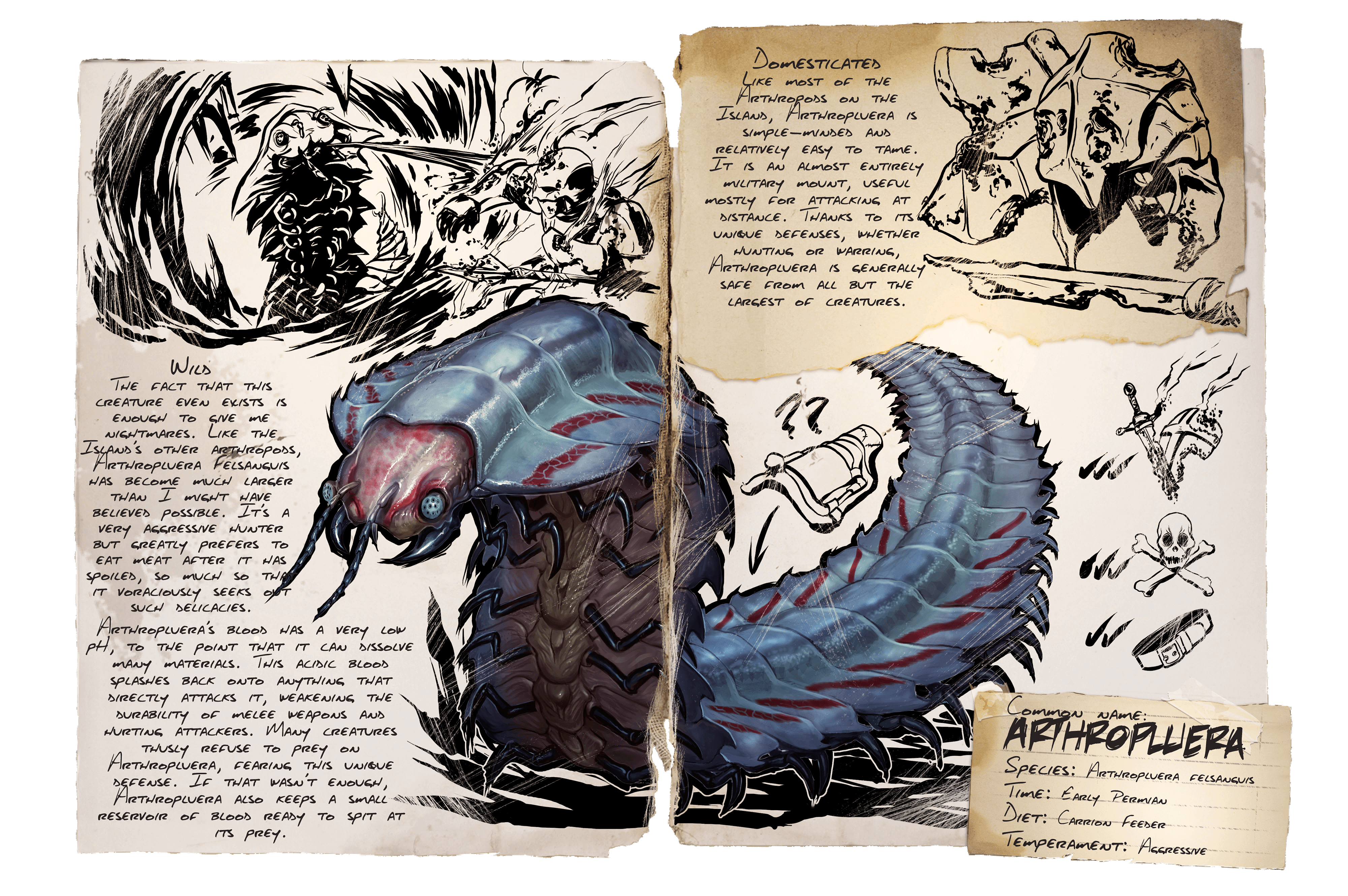 Arthropluera &middot; Dossier