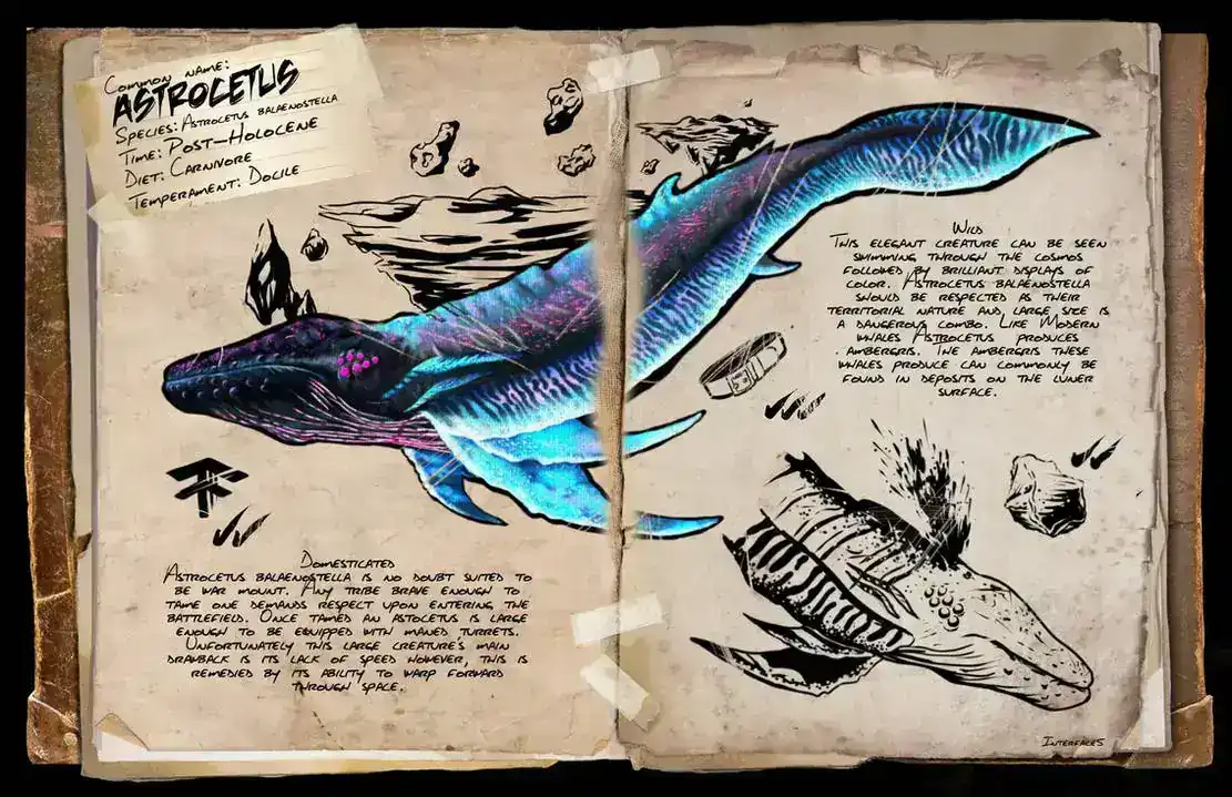 Astrocetus &middot; Dossier