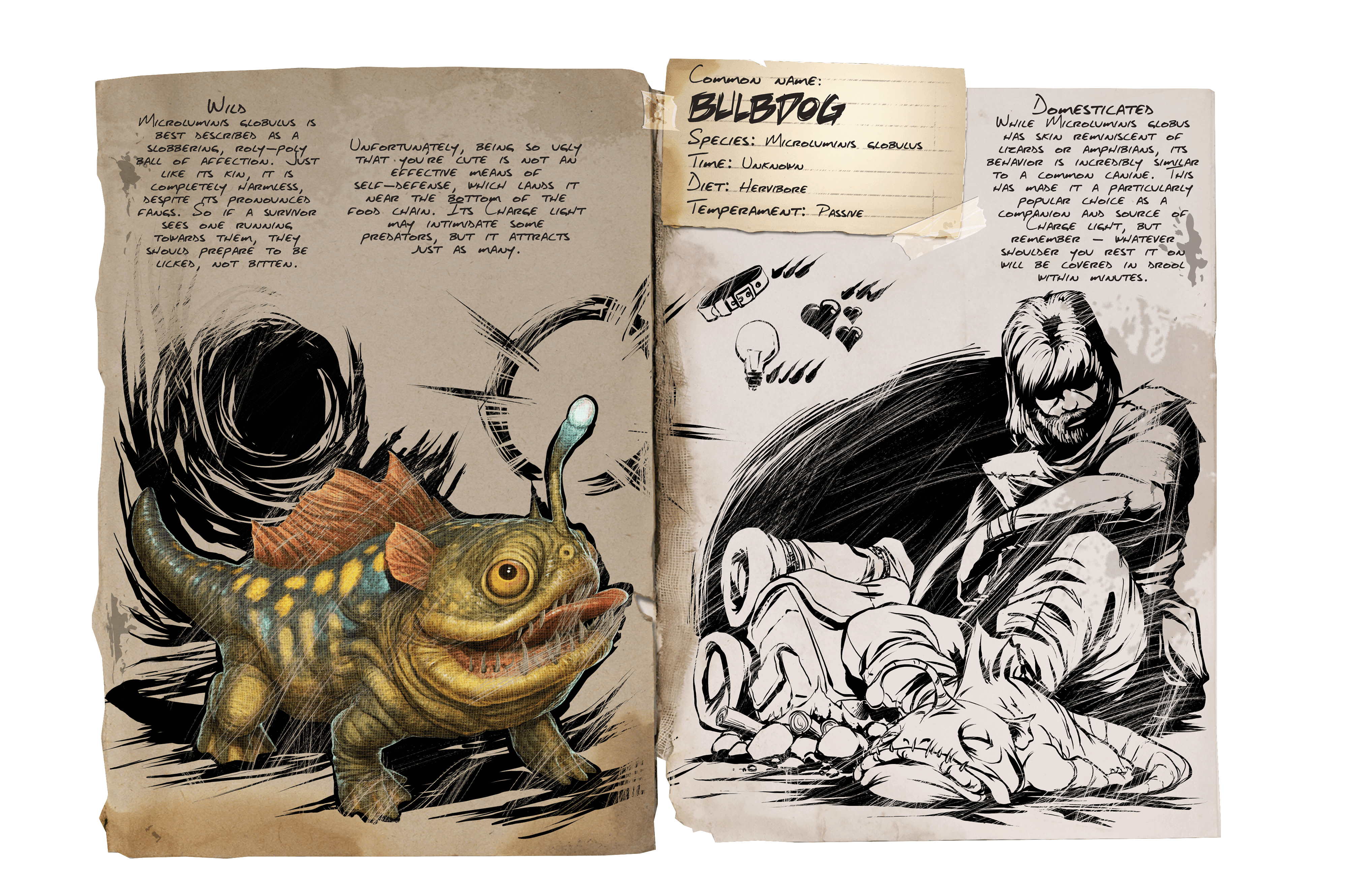 Bulbdog &middot; Dossier