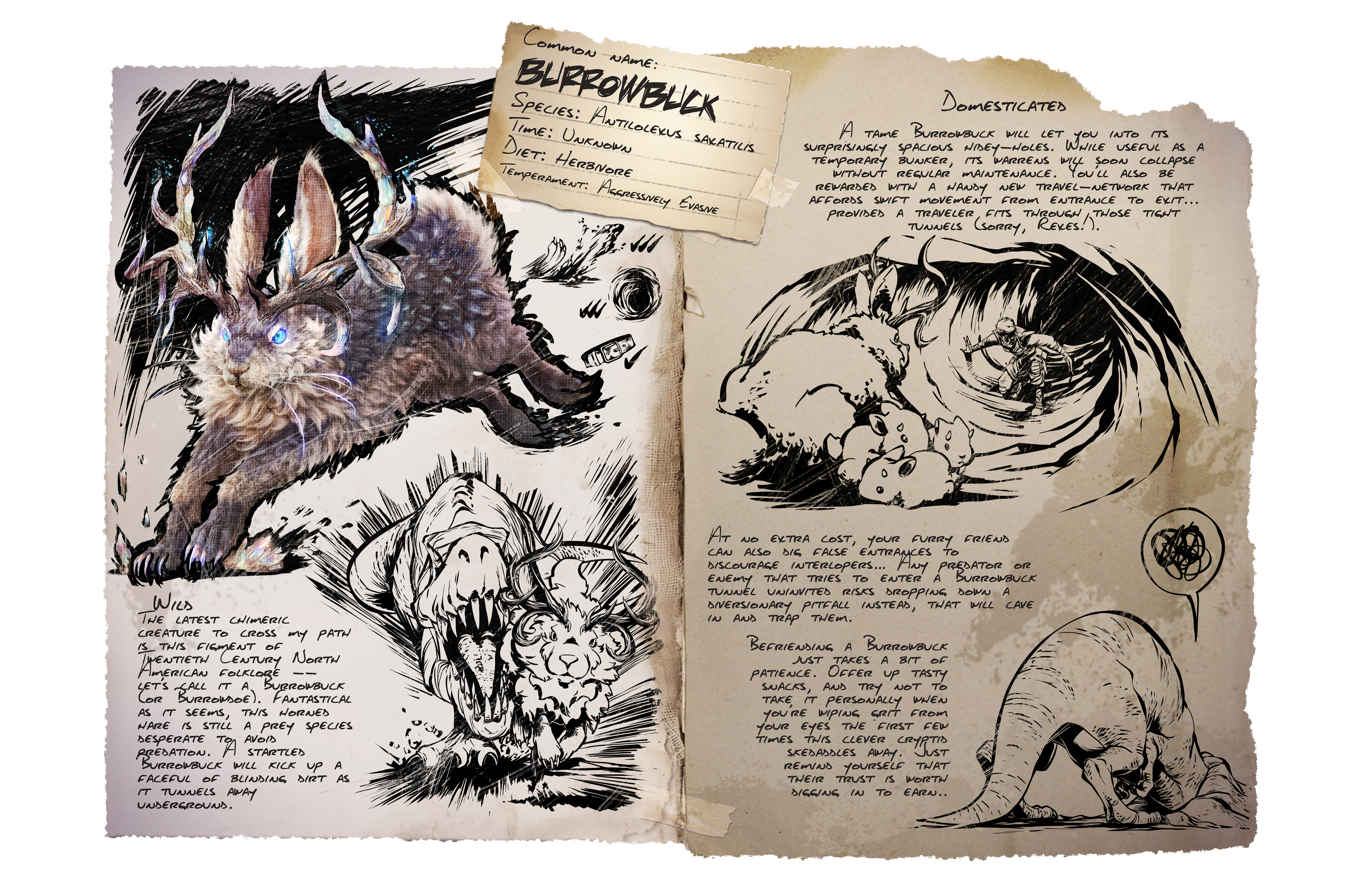 Burrowbuck &middot; Dossier
