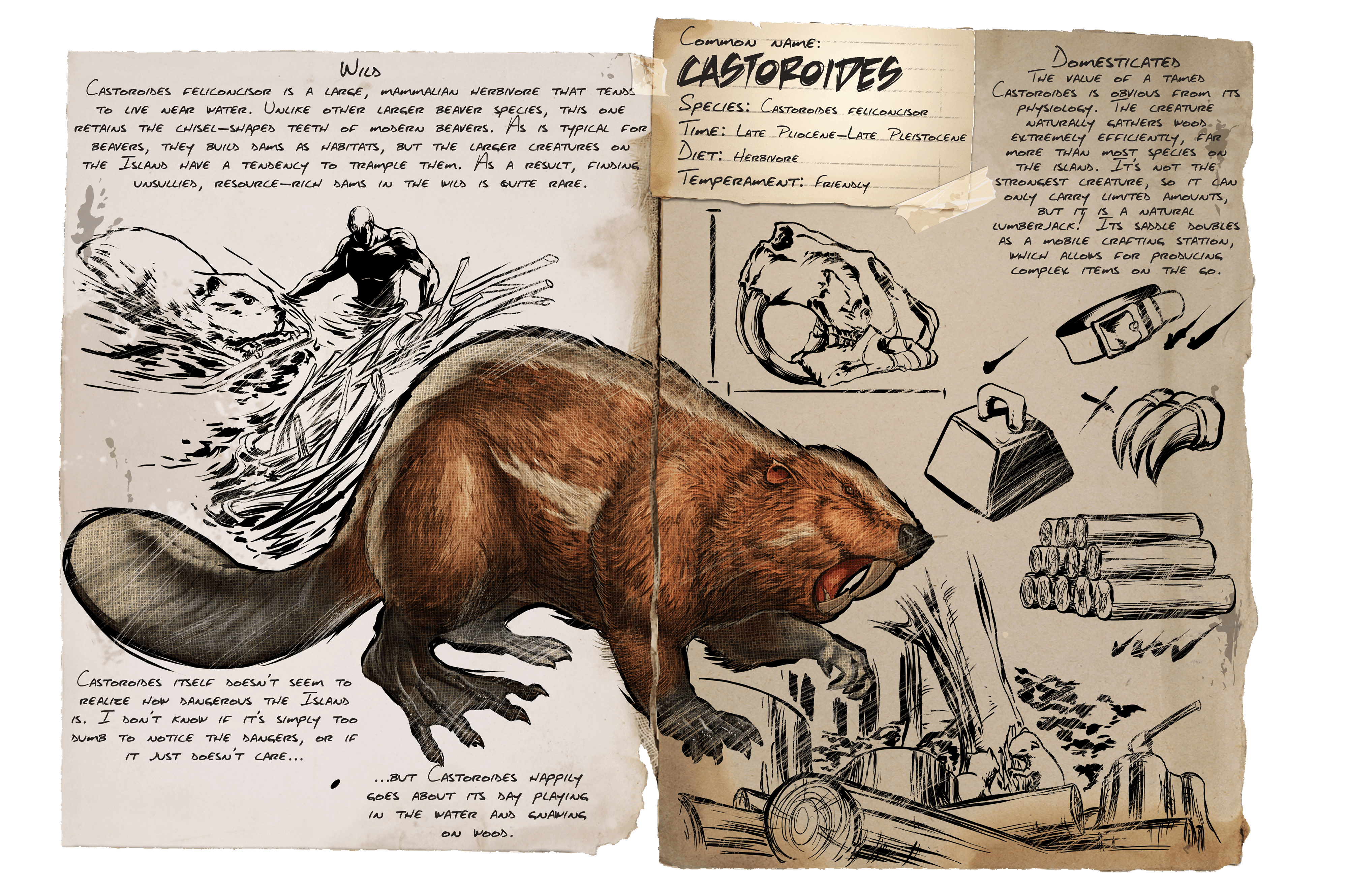 Castoroides &middot; Dossier