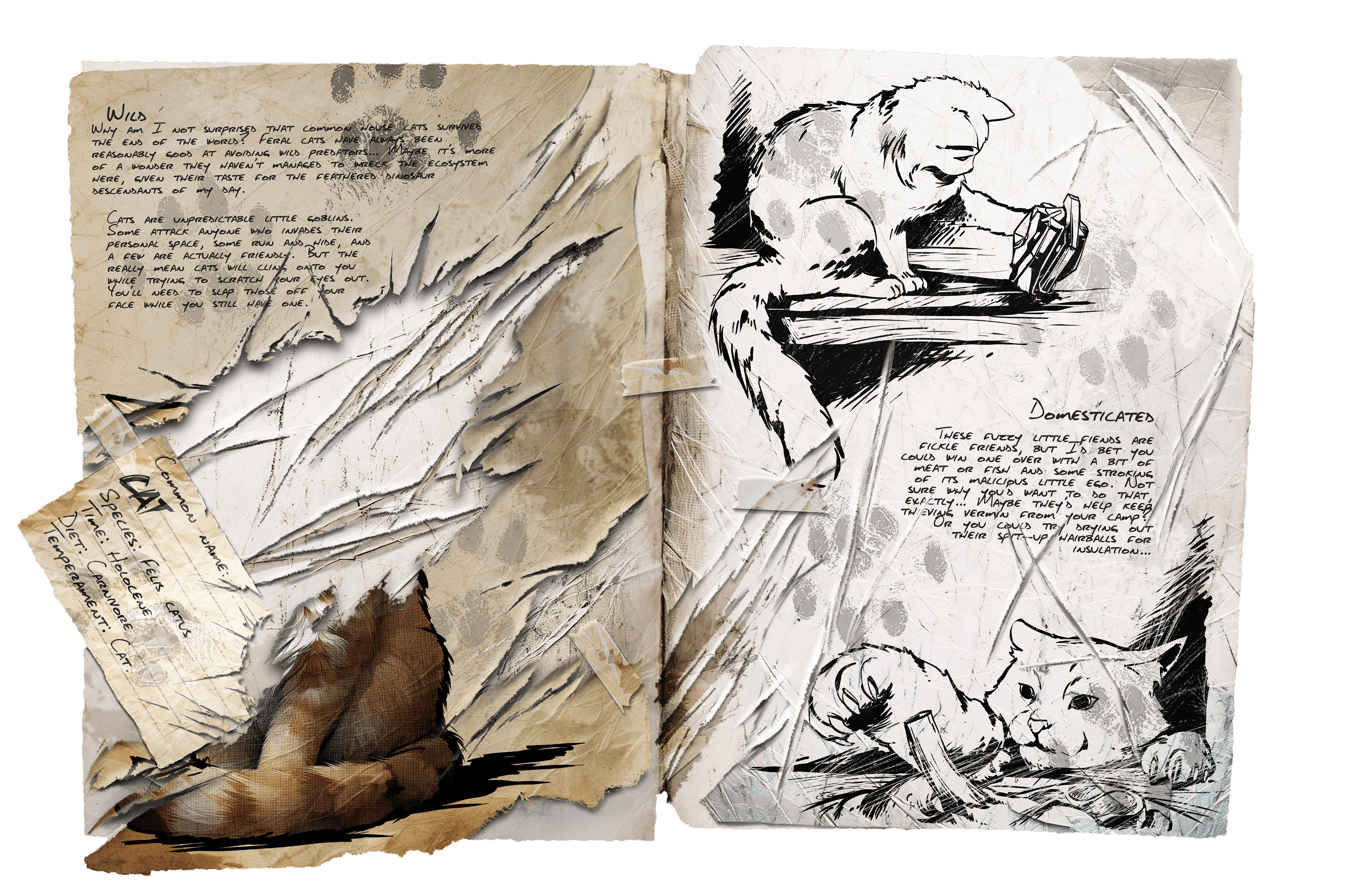 Cat · Dossier