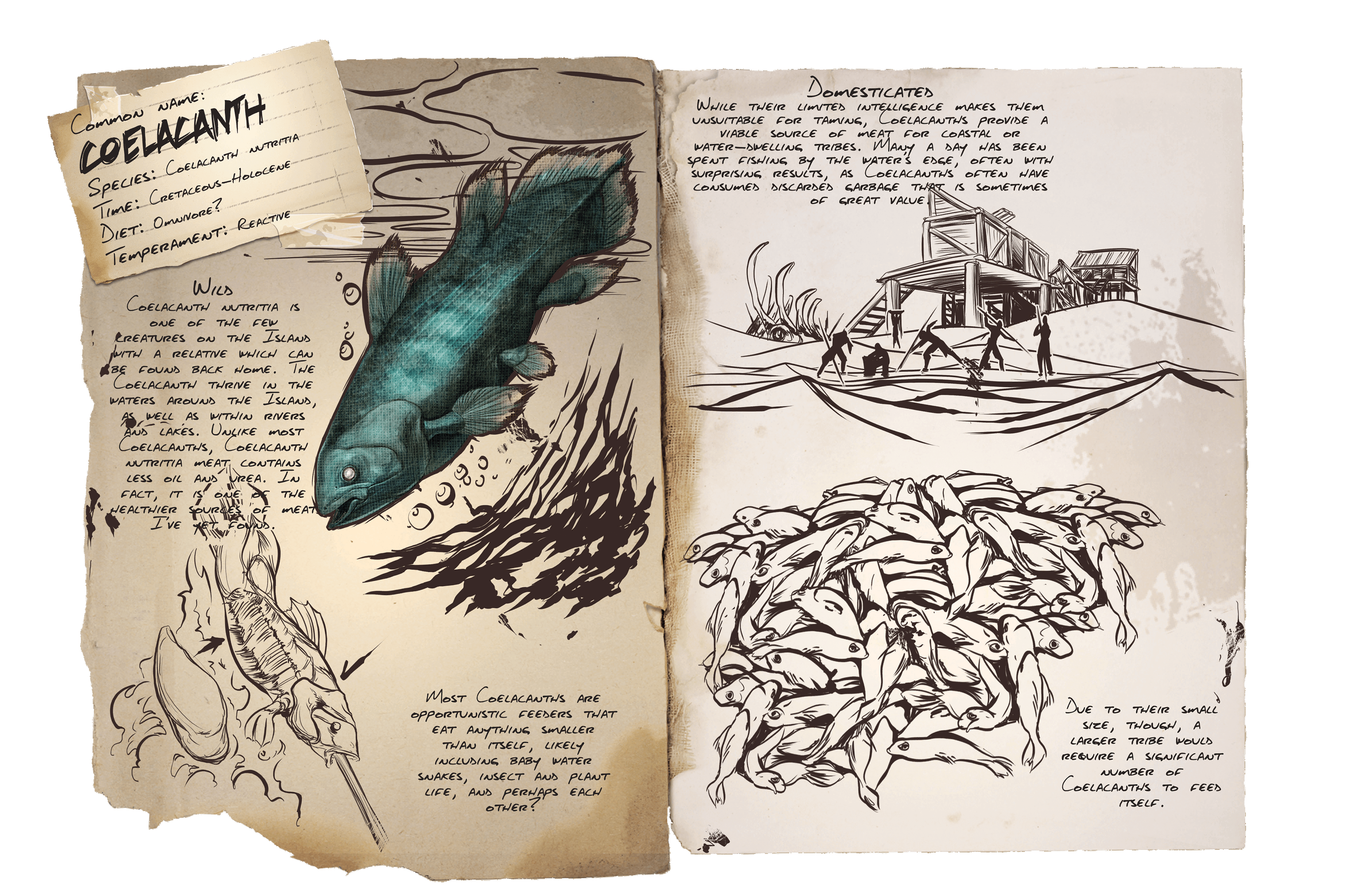 Coelacanth &middot; Dossier