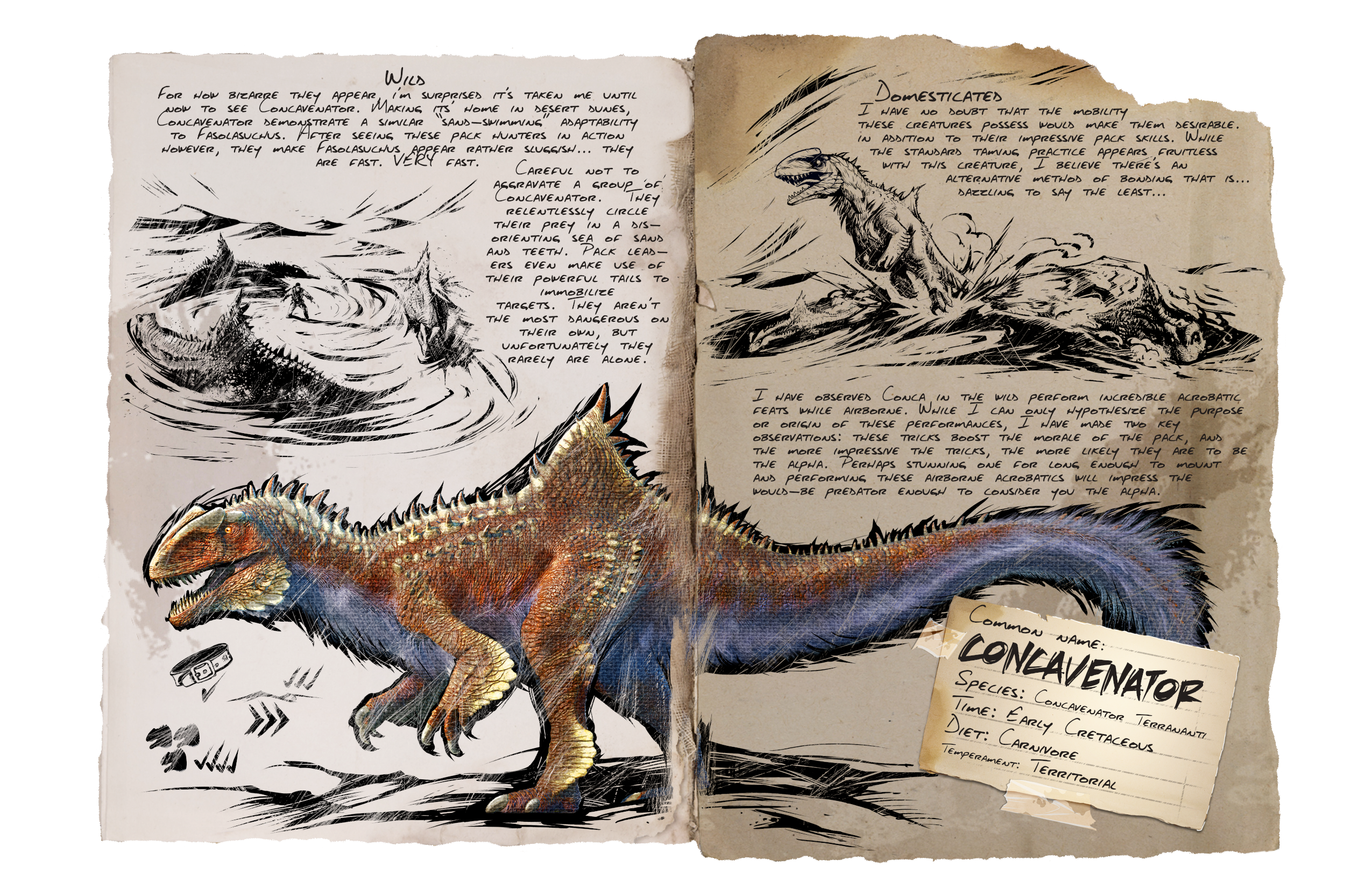 Concavenator &middot; Dossier