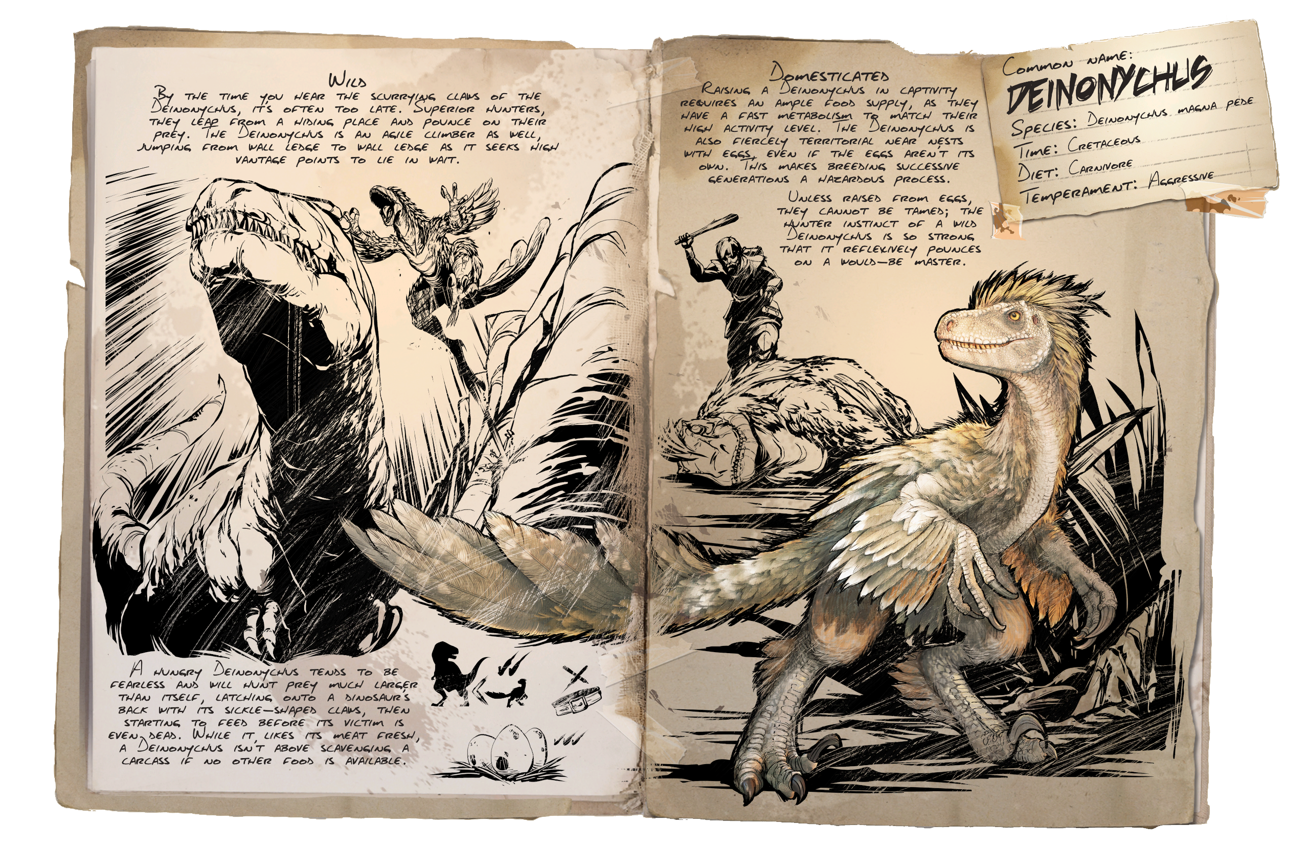 Deinonychus &middot; Dossier