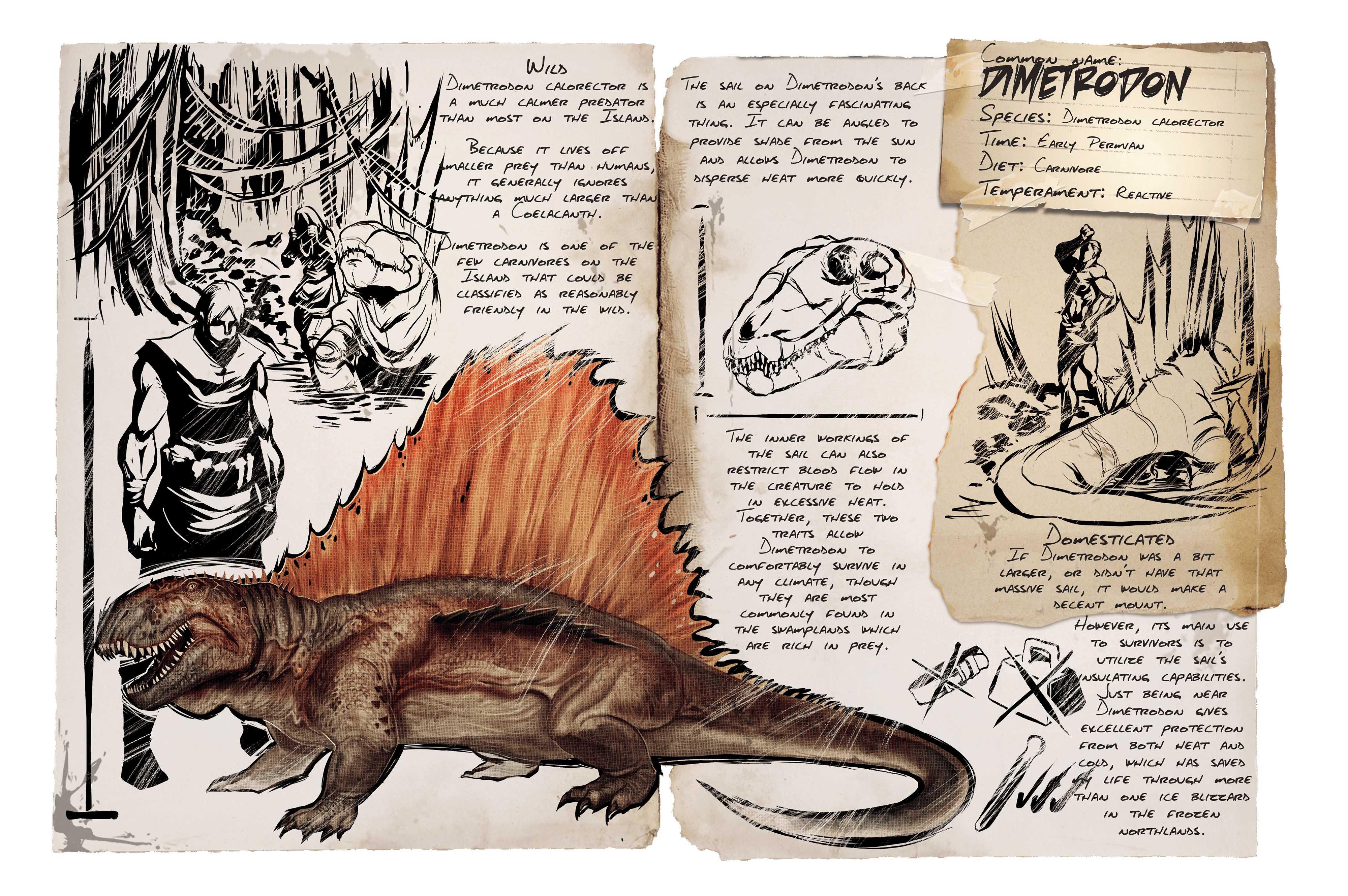 Dimetrodon &middot; Dossier