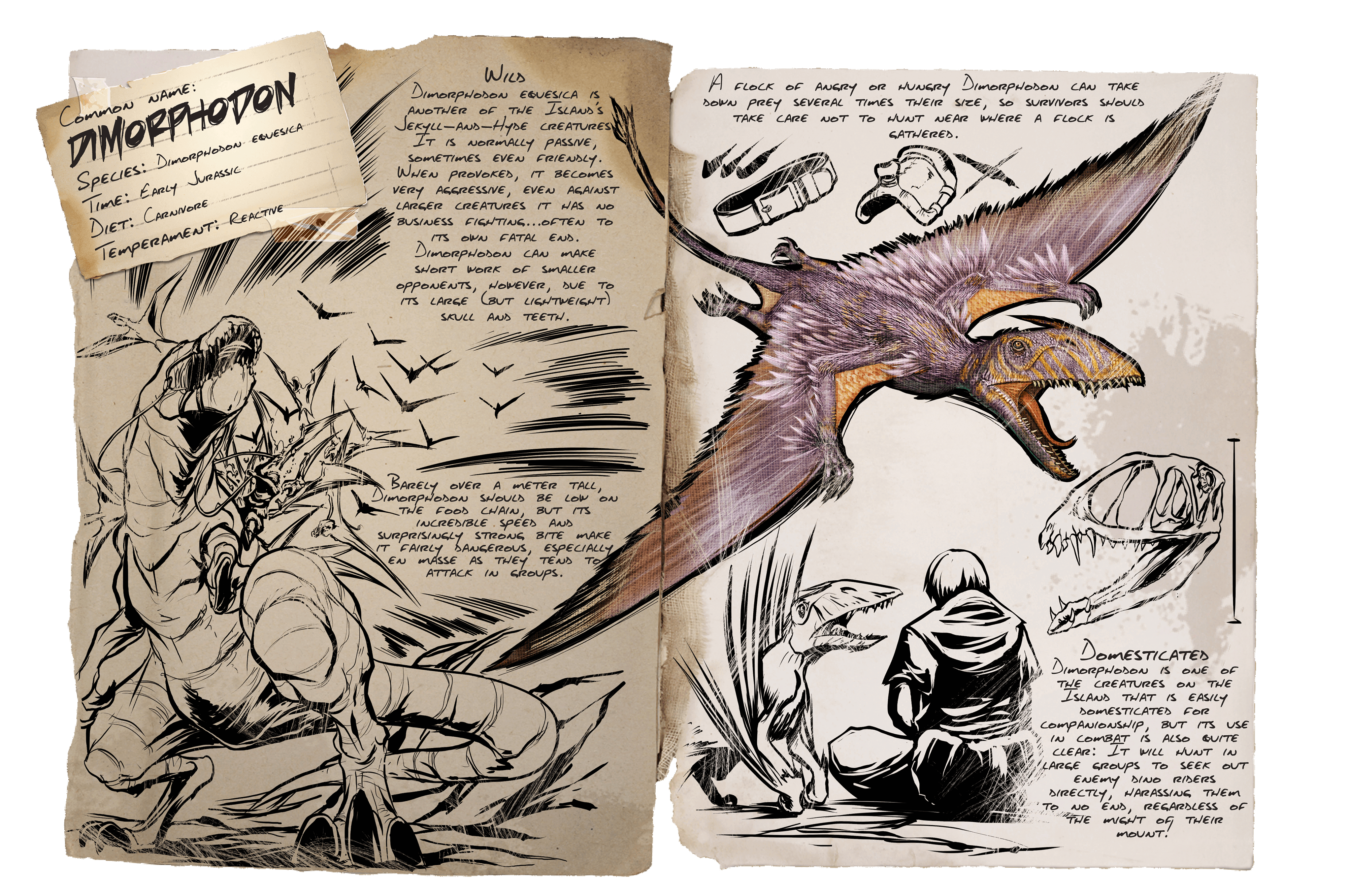 Dimorphodon &middot; Dossier