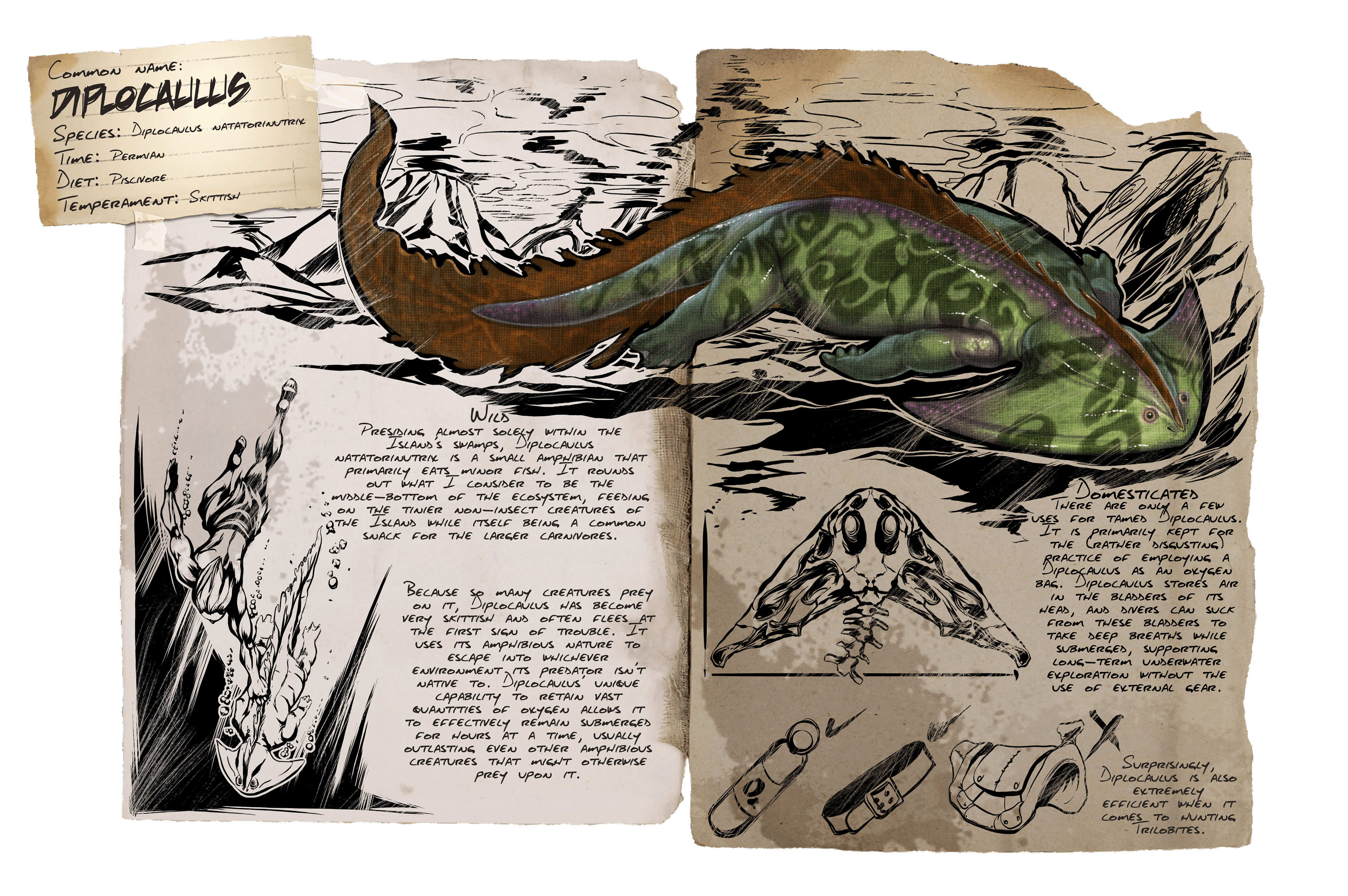 Diplocaulus &middot; Dossier