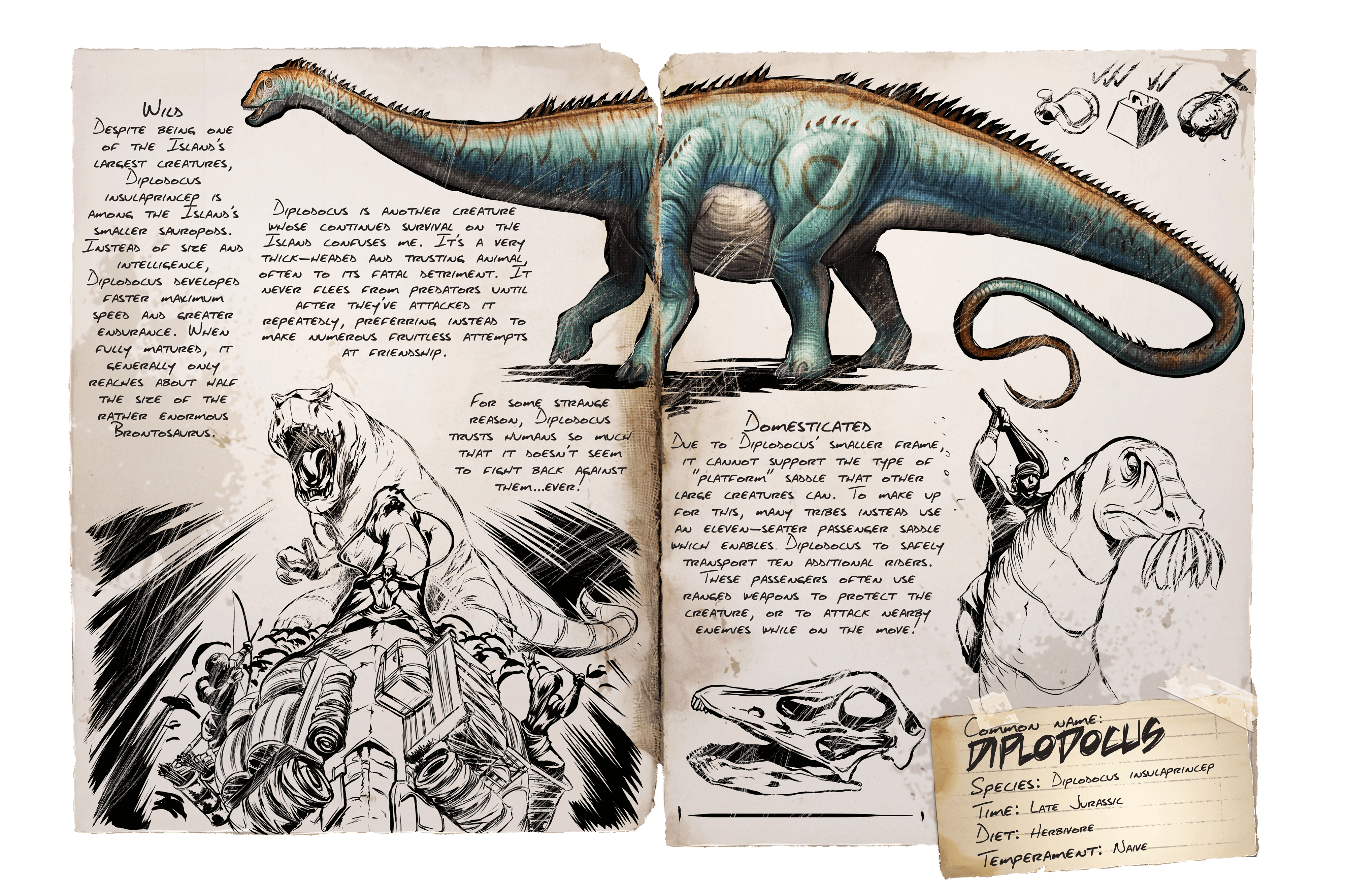 Diplodocus · Dossier