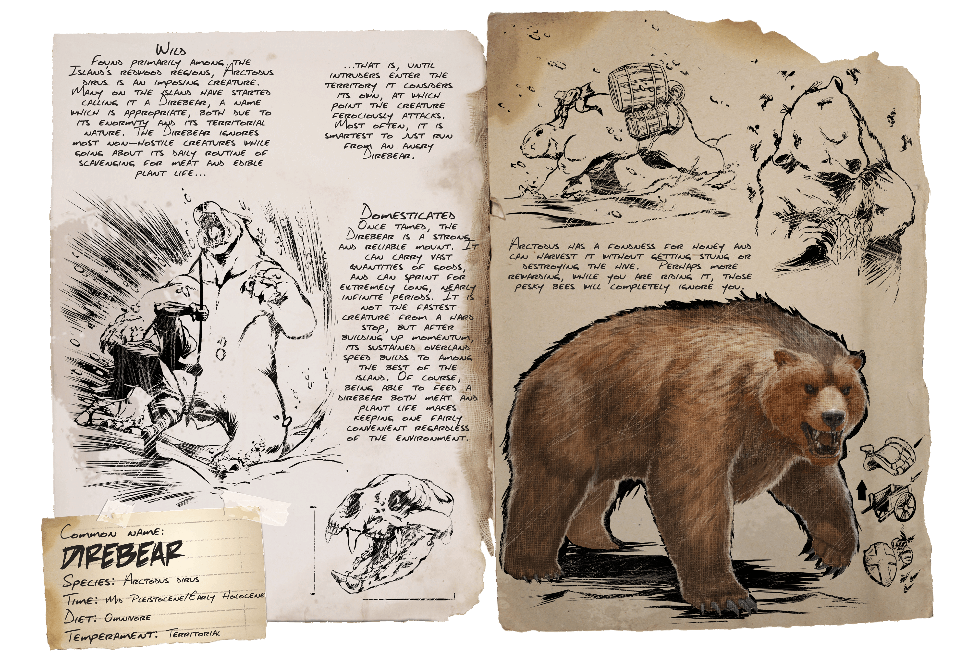 Dire Bear &middot; Dossier