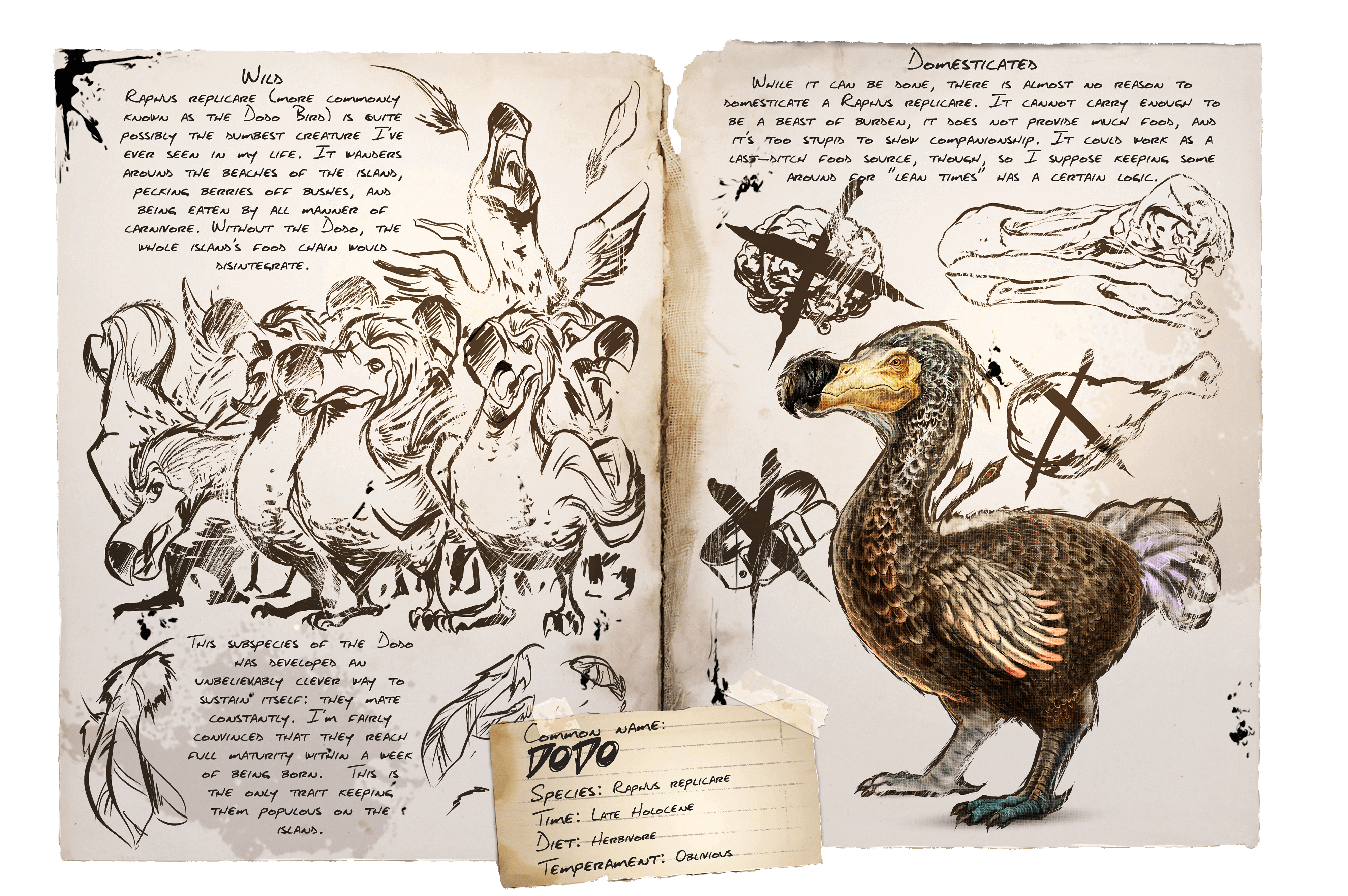Dodo · Dossier