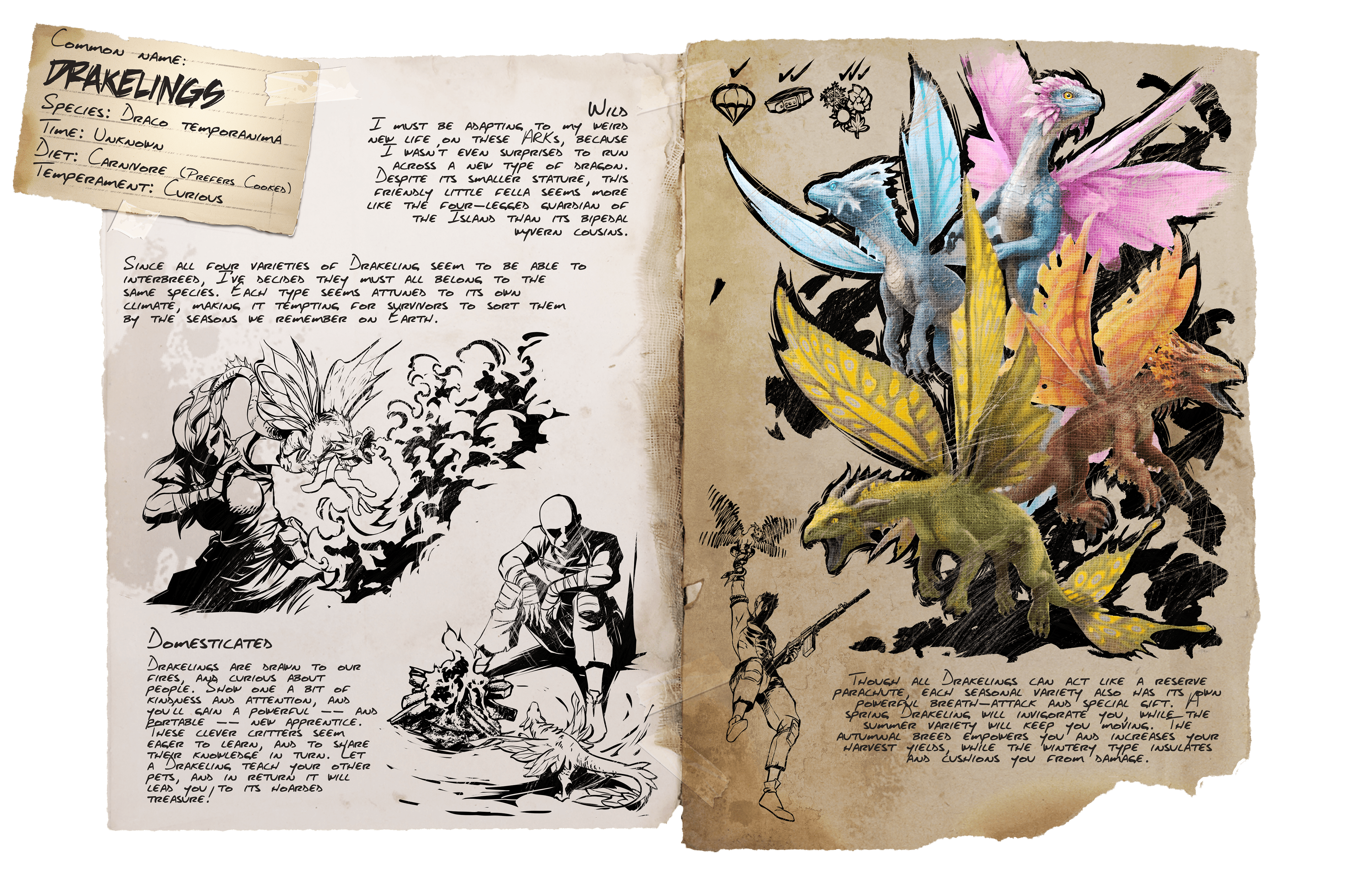 Drakeling &middot; Dossier