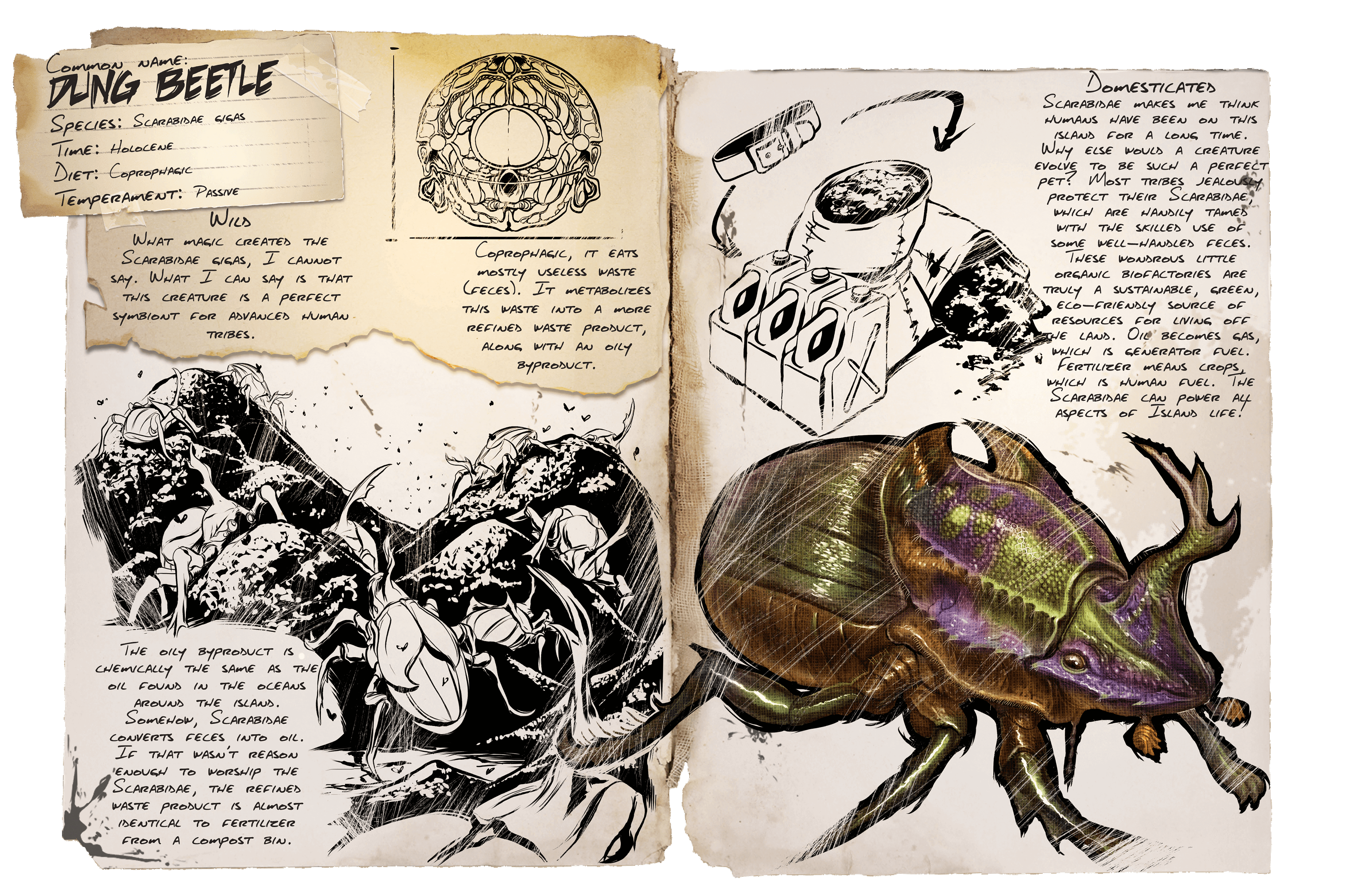 Dung Beetle &middot; Dossier