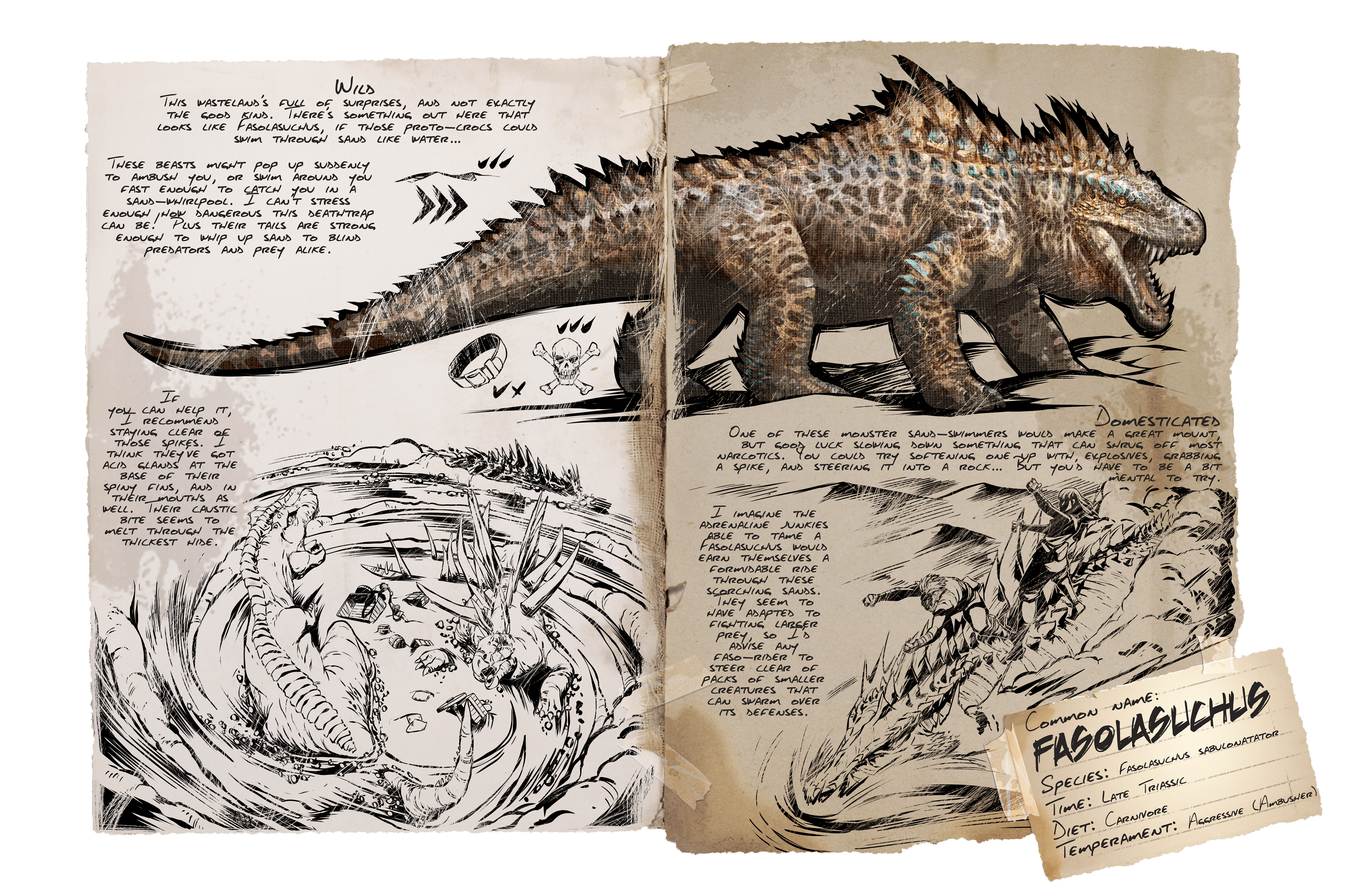 Fasolasuchus &middot; Dossier