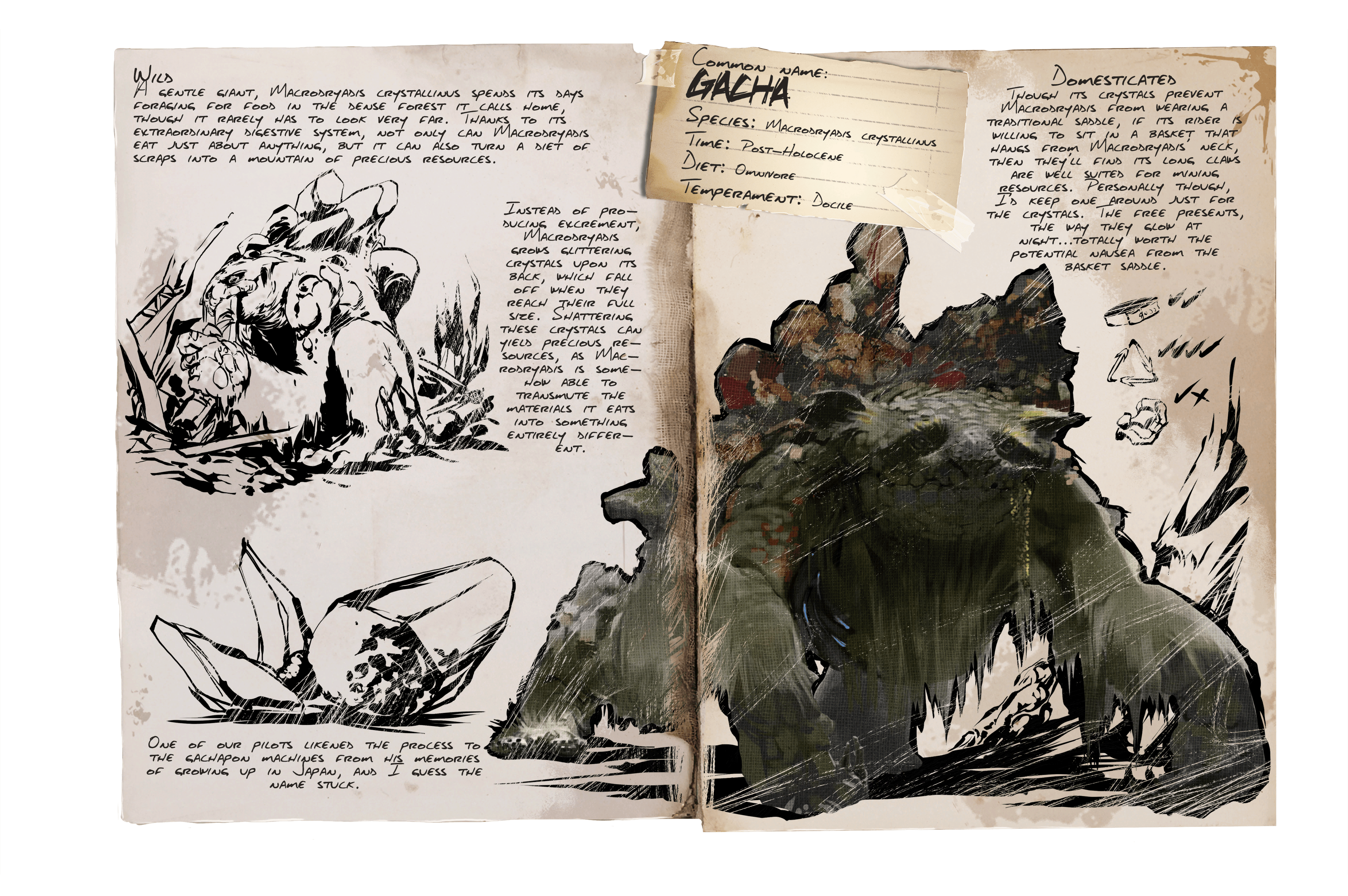 Gacha · Dossier