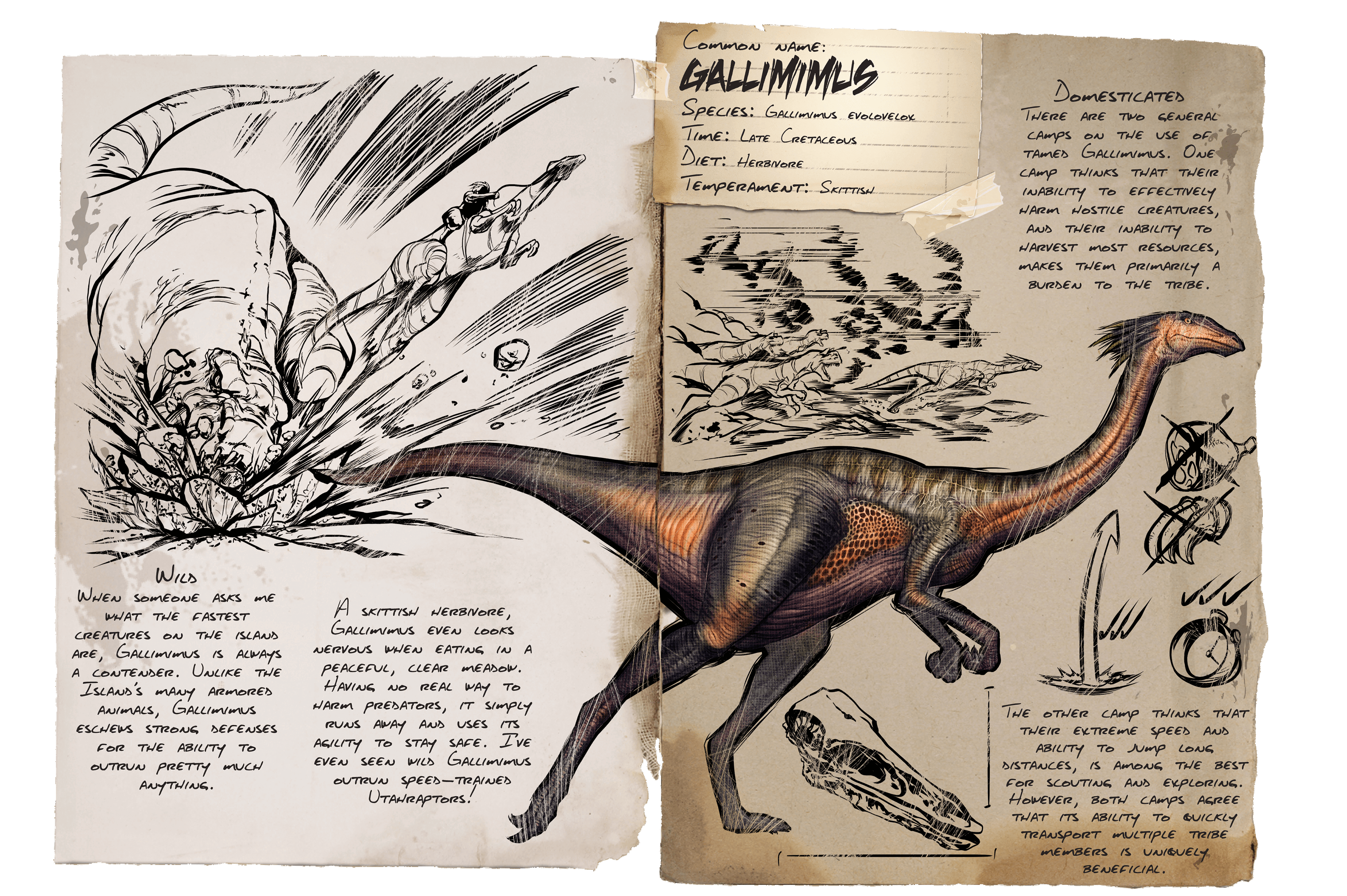 Gallimimus &middot; Dossier