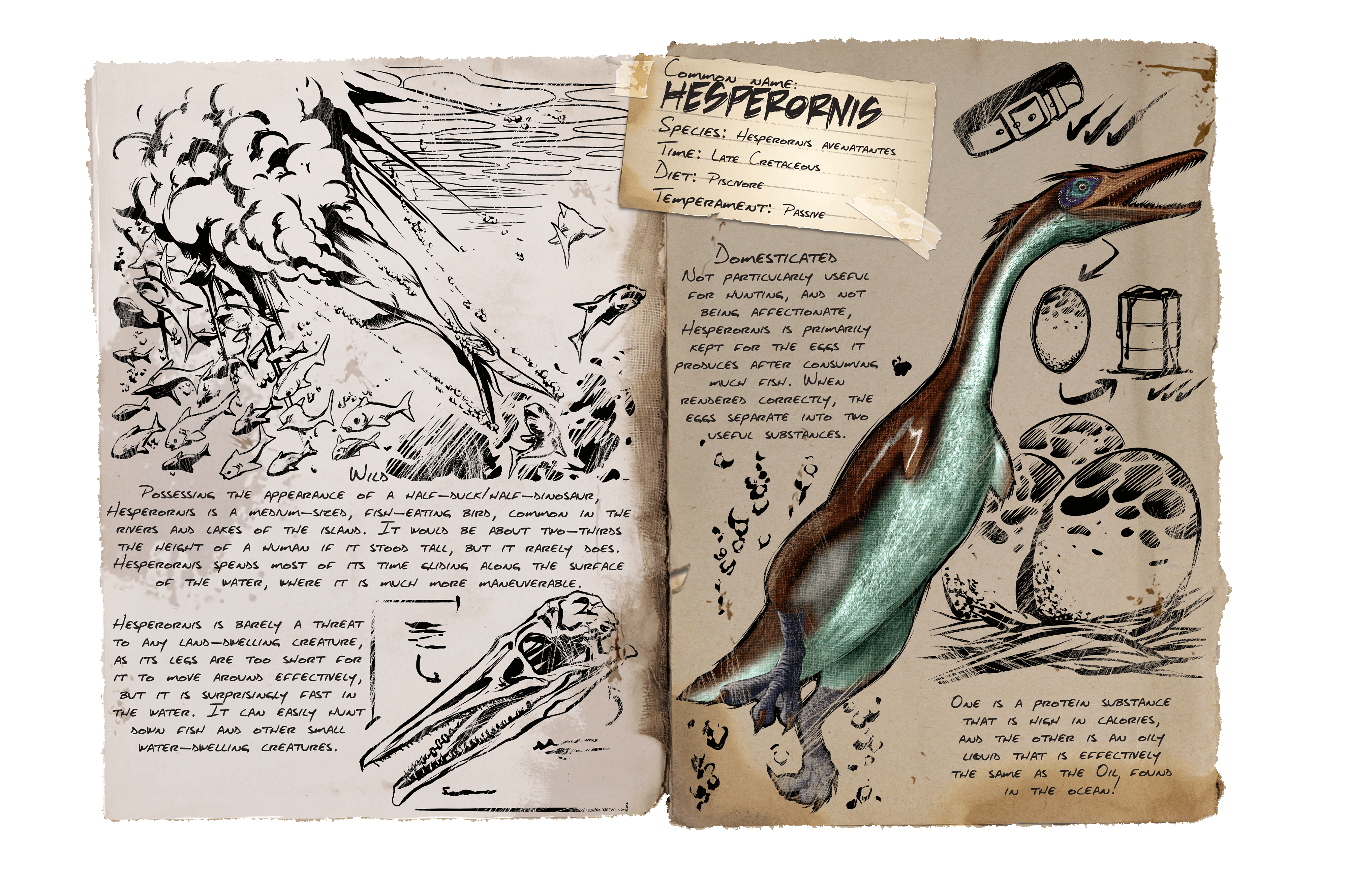 Hesperornis &middot; Dossier