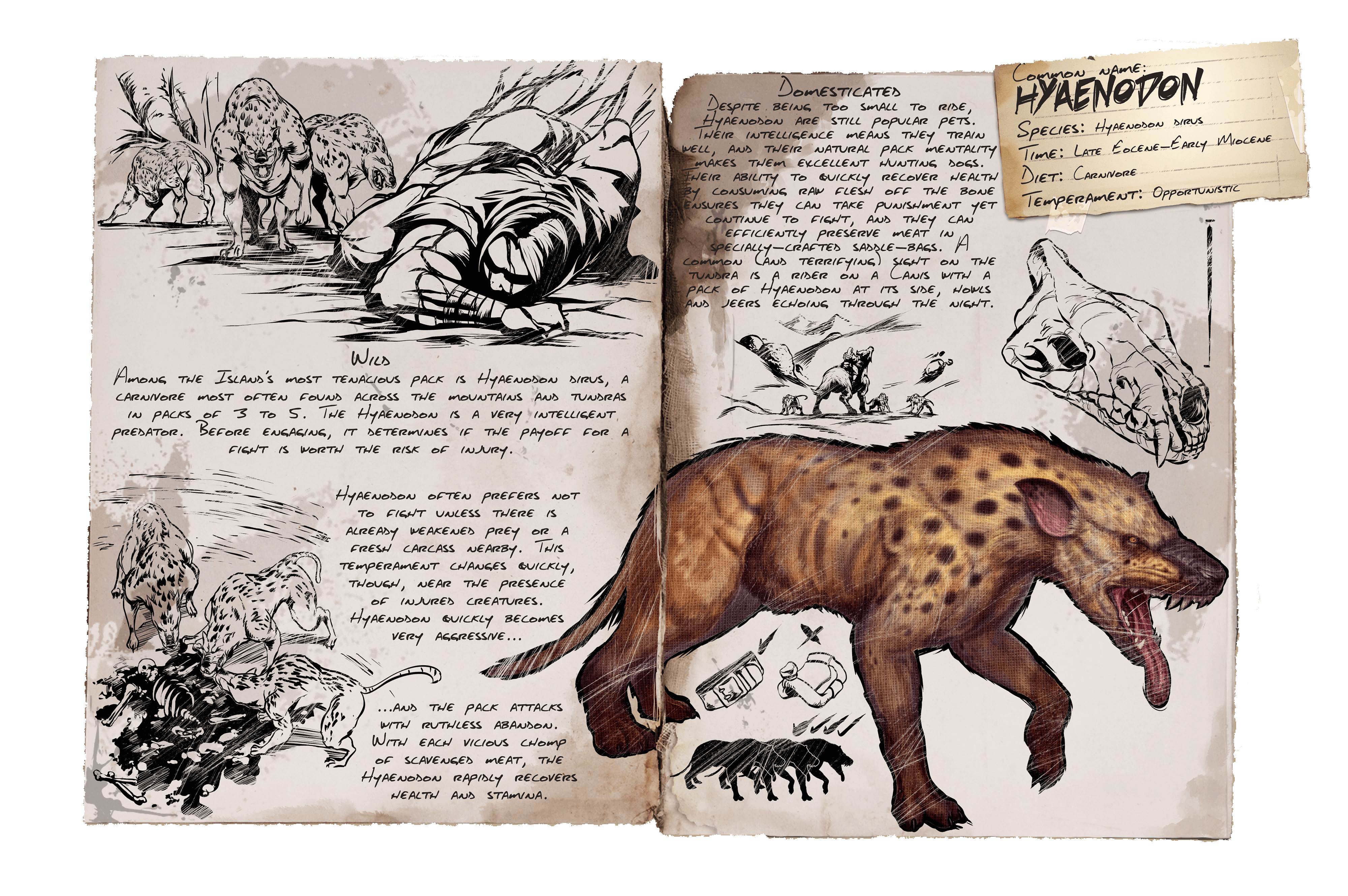 Hyaenodon &middot; Dossier