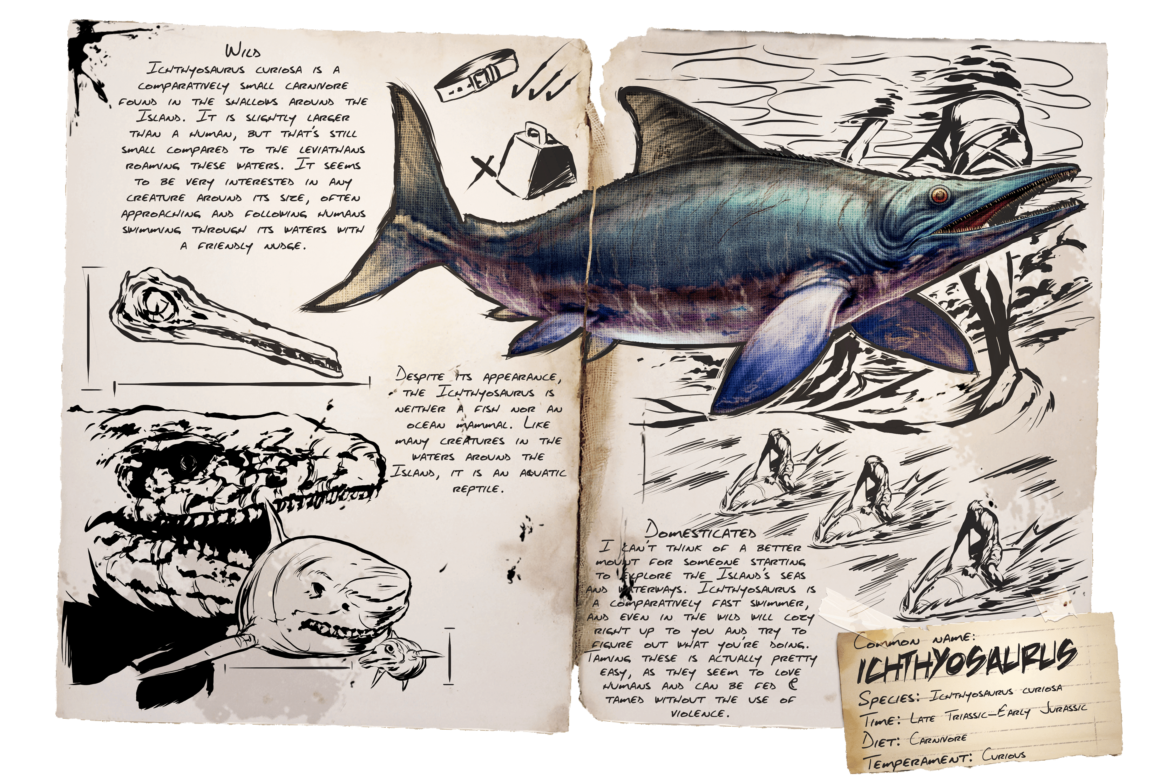 Ichthyosaurus · Dossier