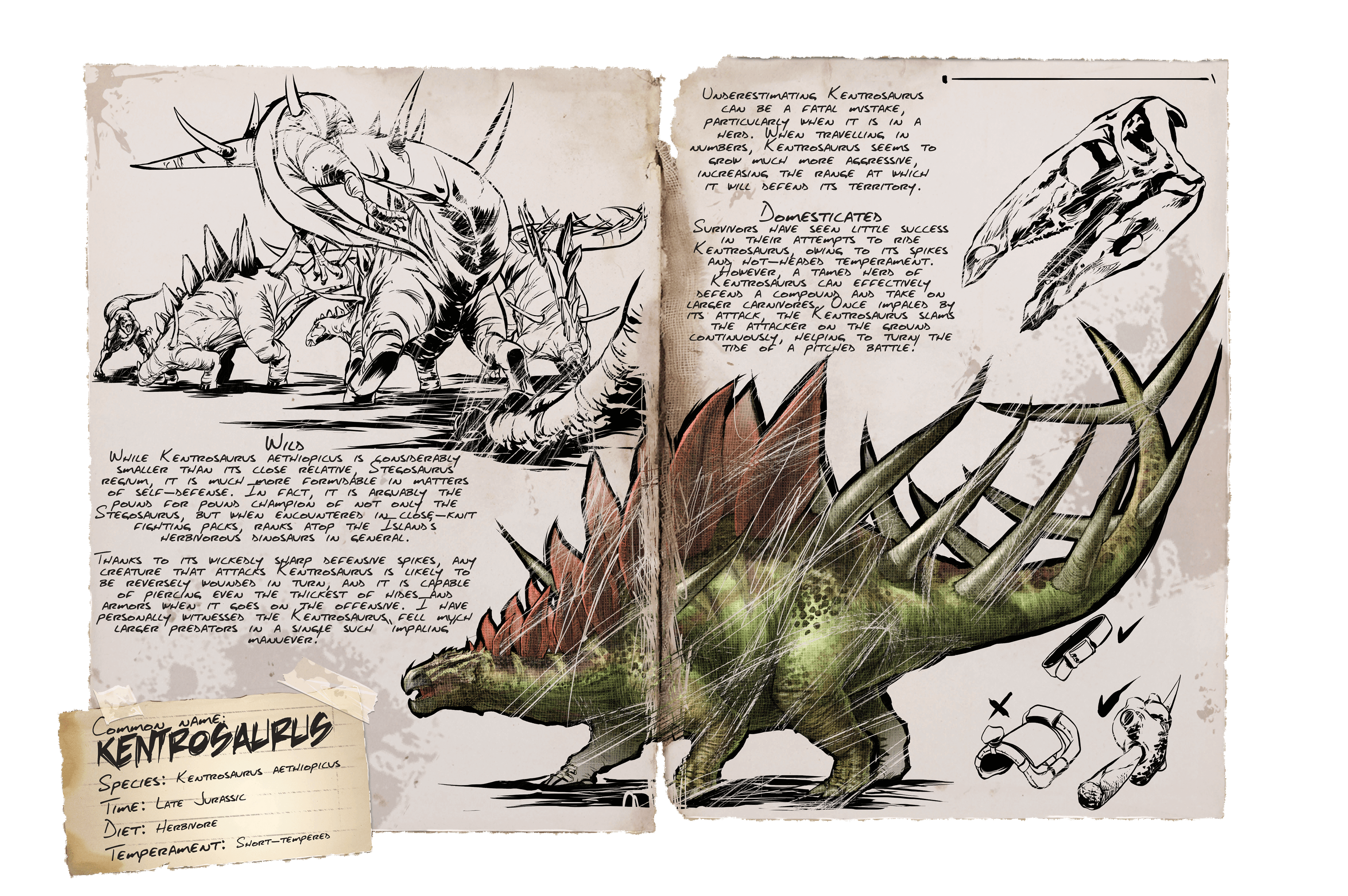 Kentrosaurus &middot; Dossier