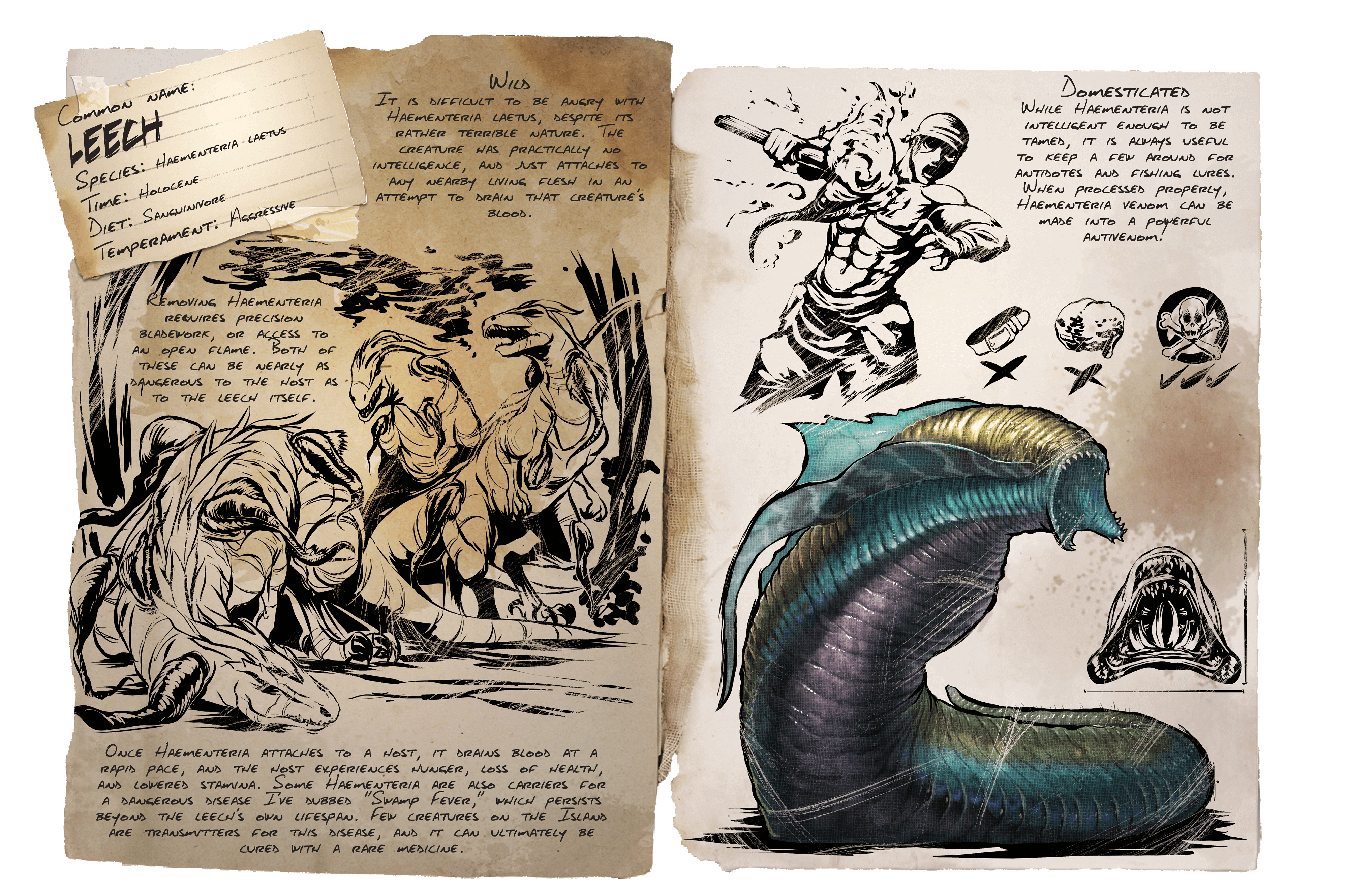 Leech &middot; Dossier