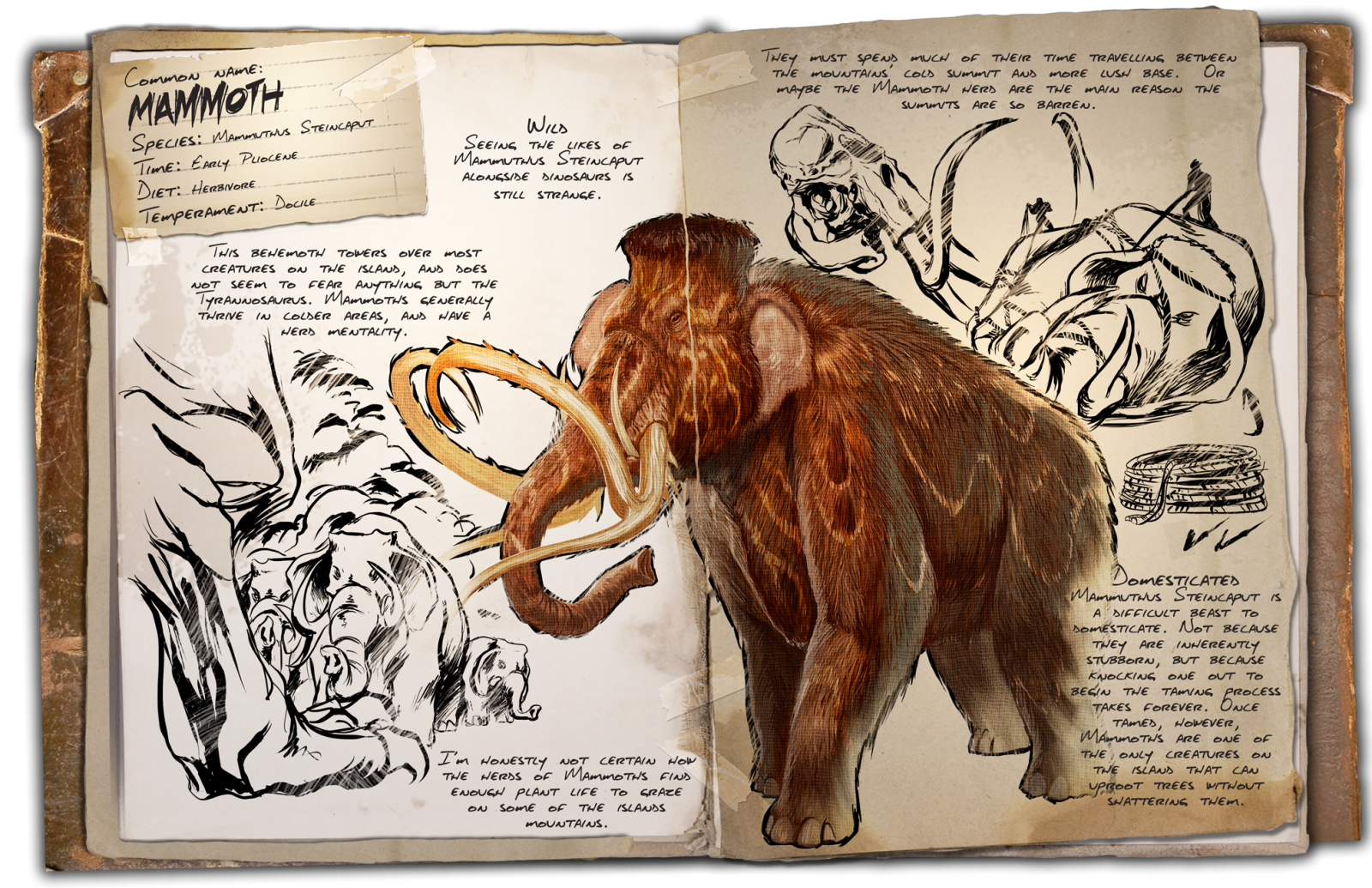 Mammoth · Dossier