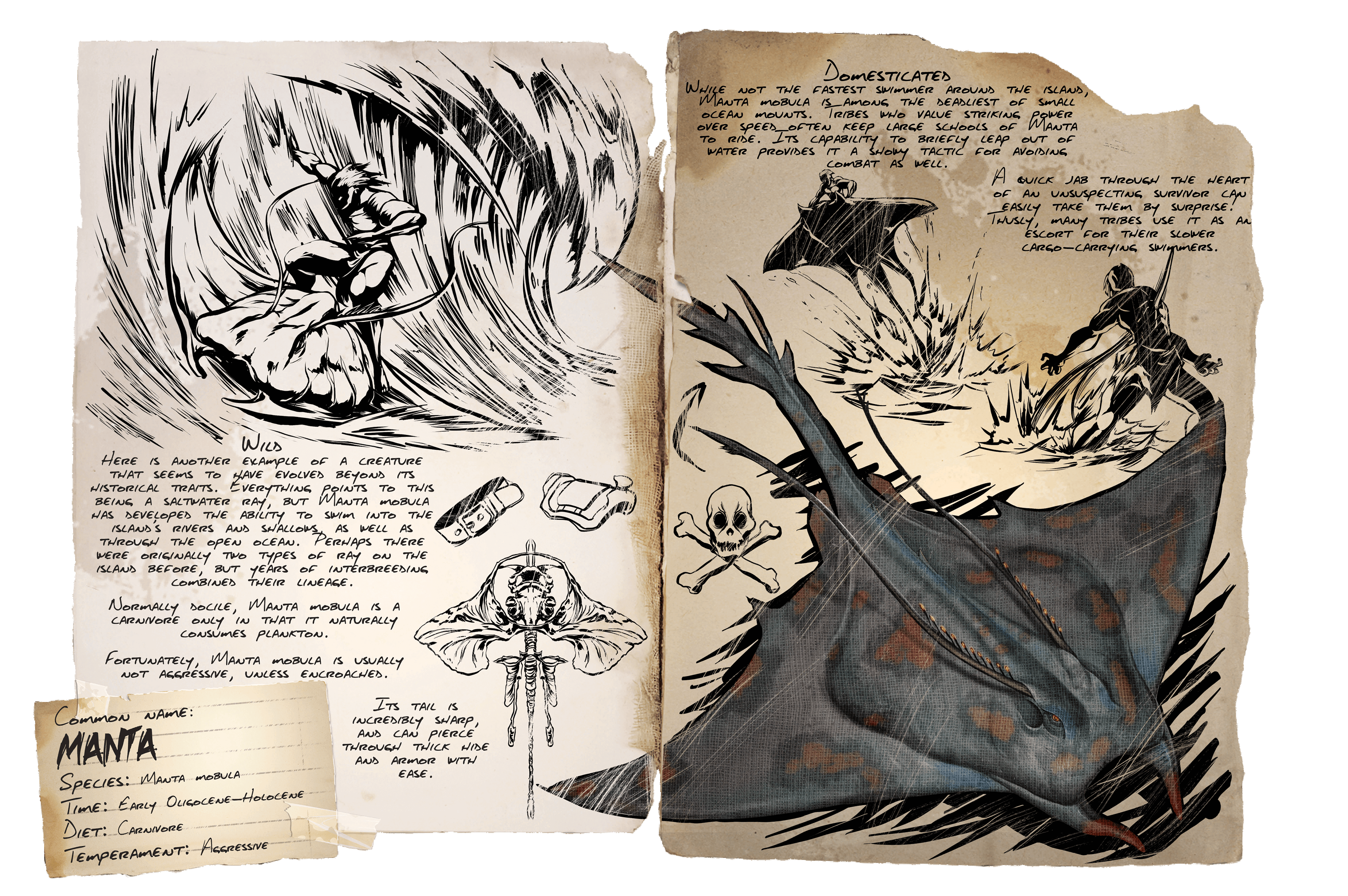 Manta &middot; Dossier