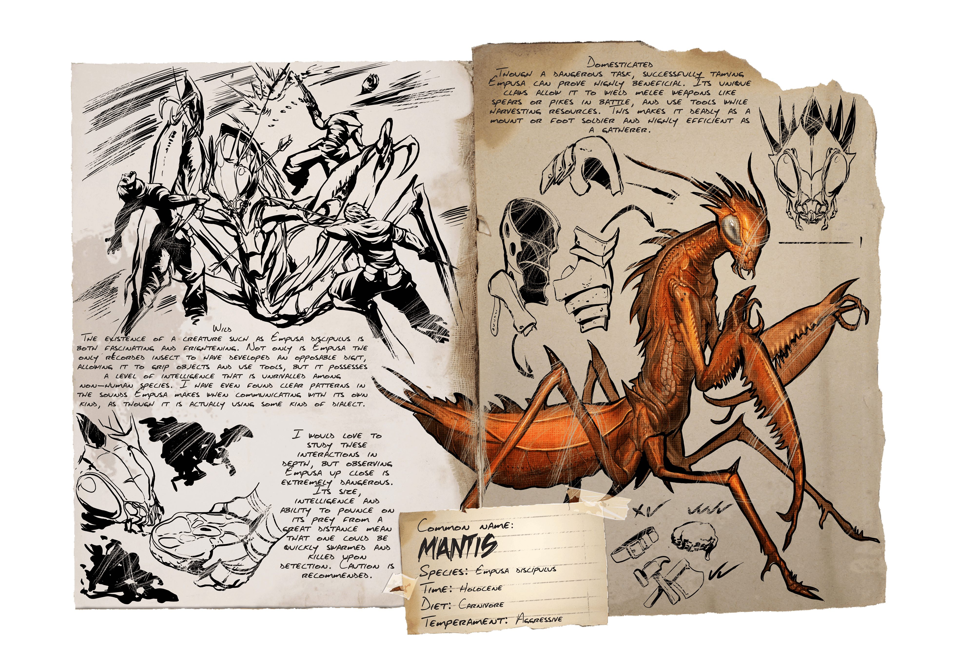 Mantis &middot; Dossier