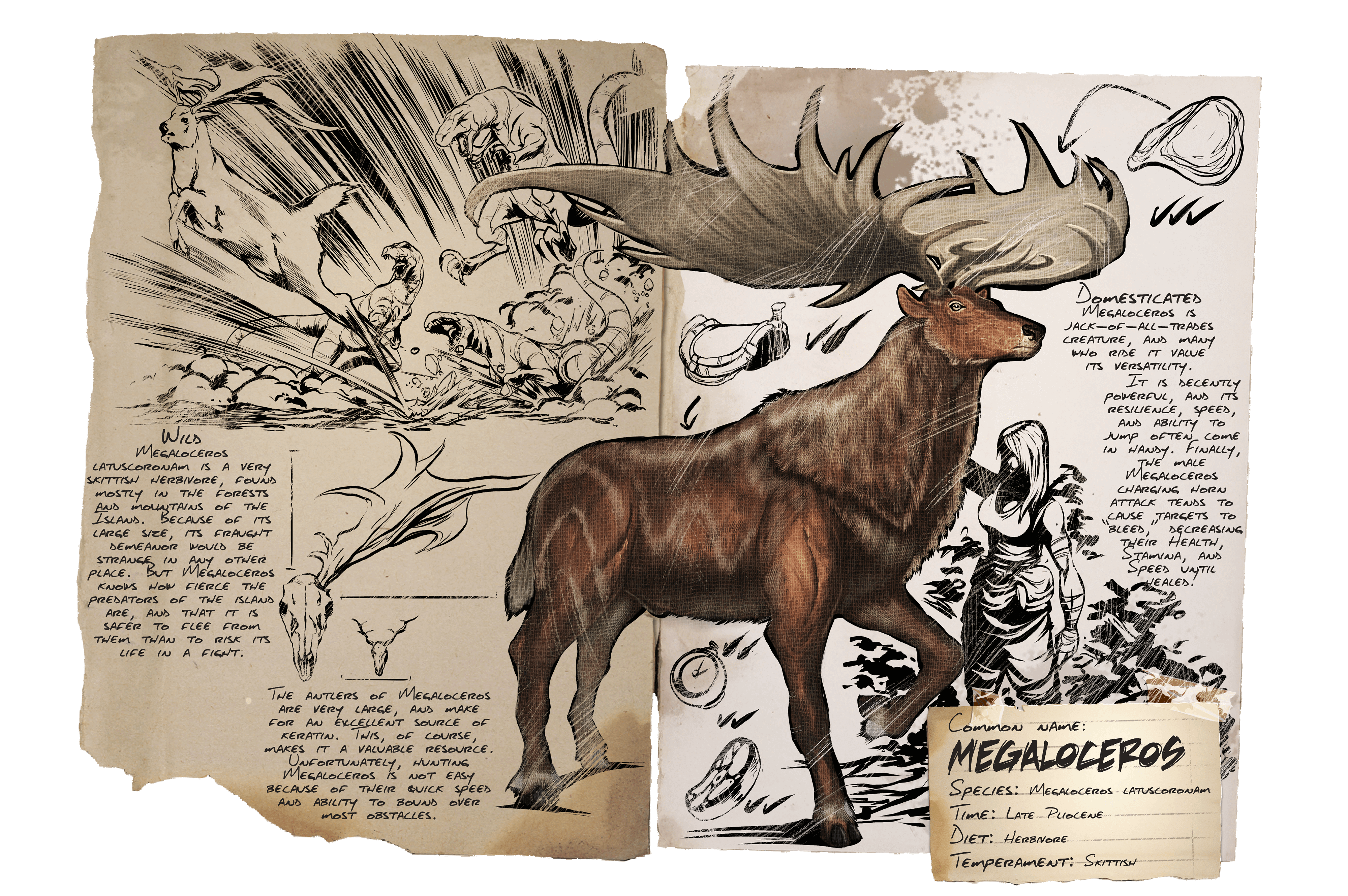 Megaloceros · Dossier