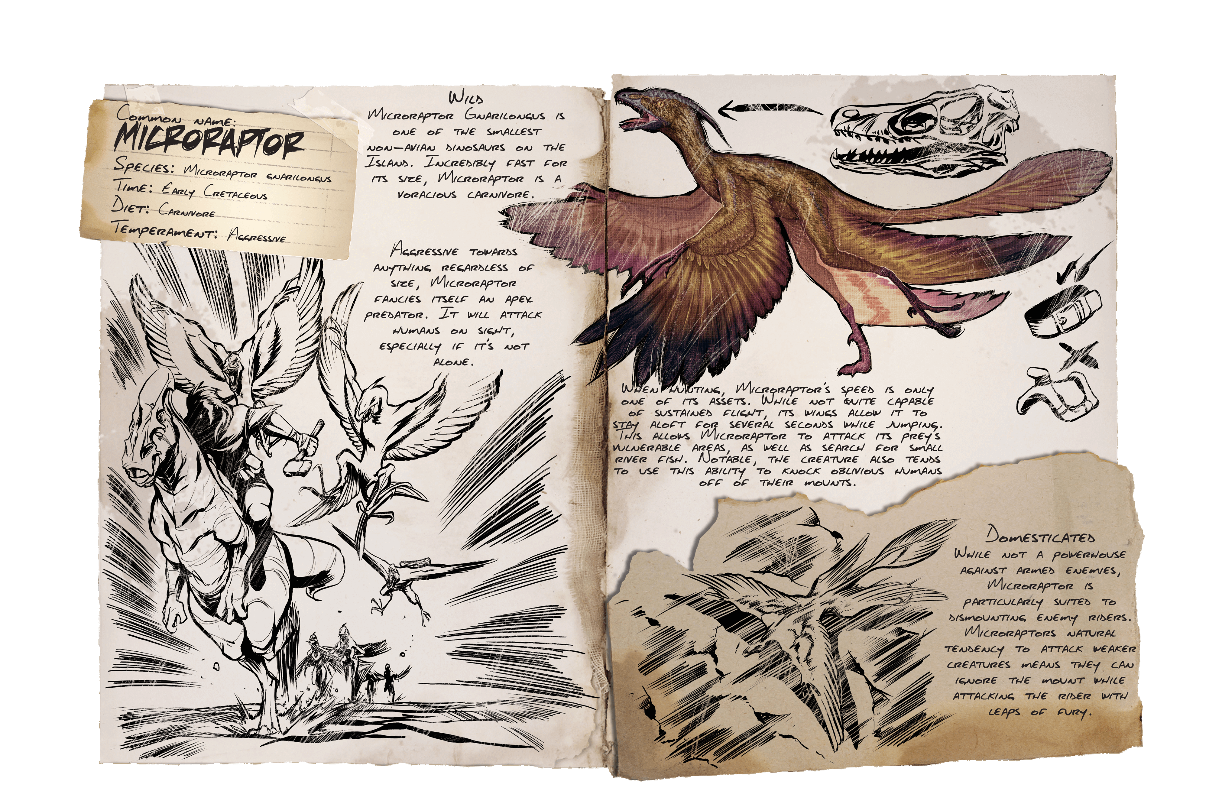 Microraptor &middot; Dossier