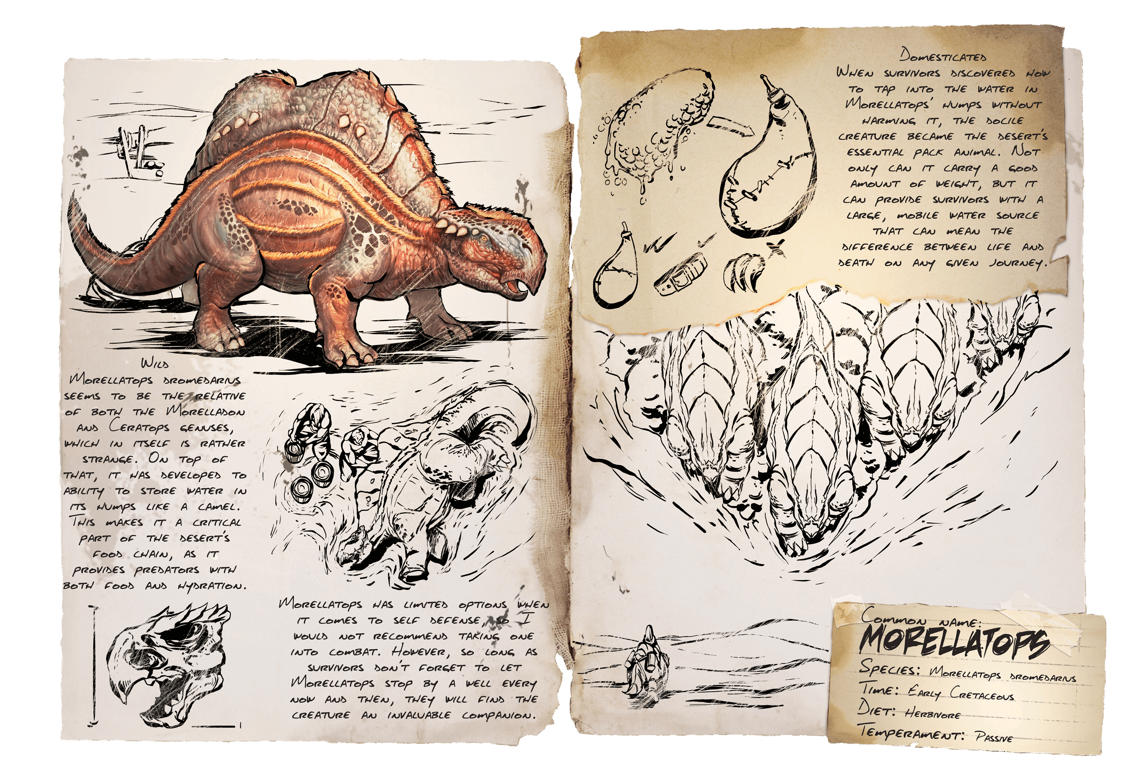 Morellatops &middot; Dossier