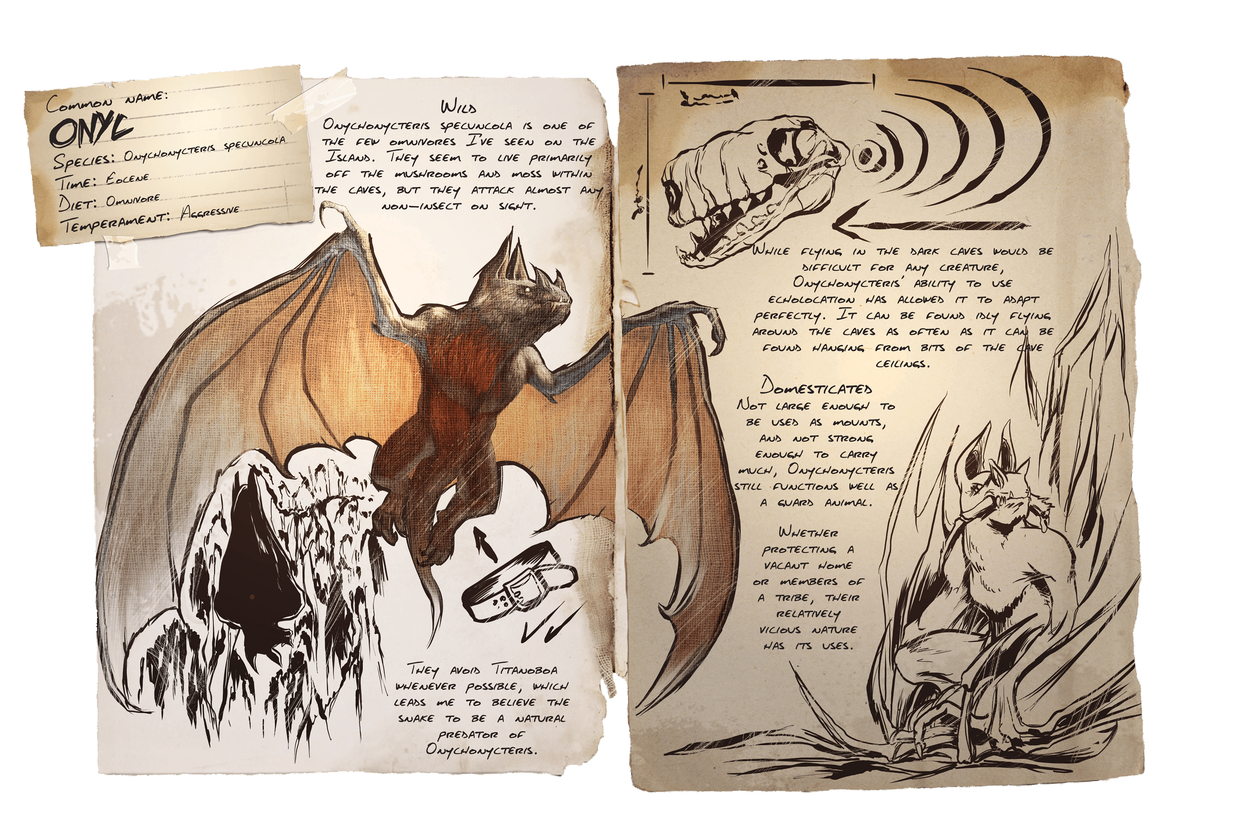 Onyc &middot; Dossier
