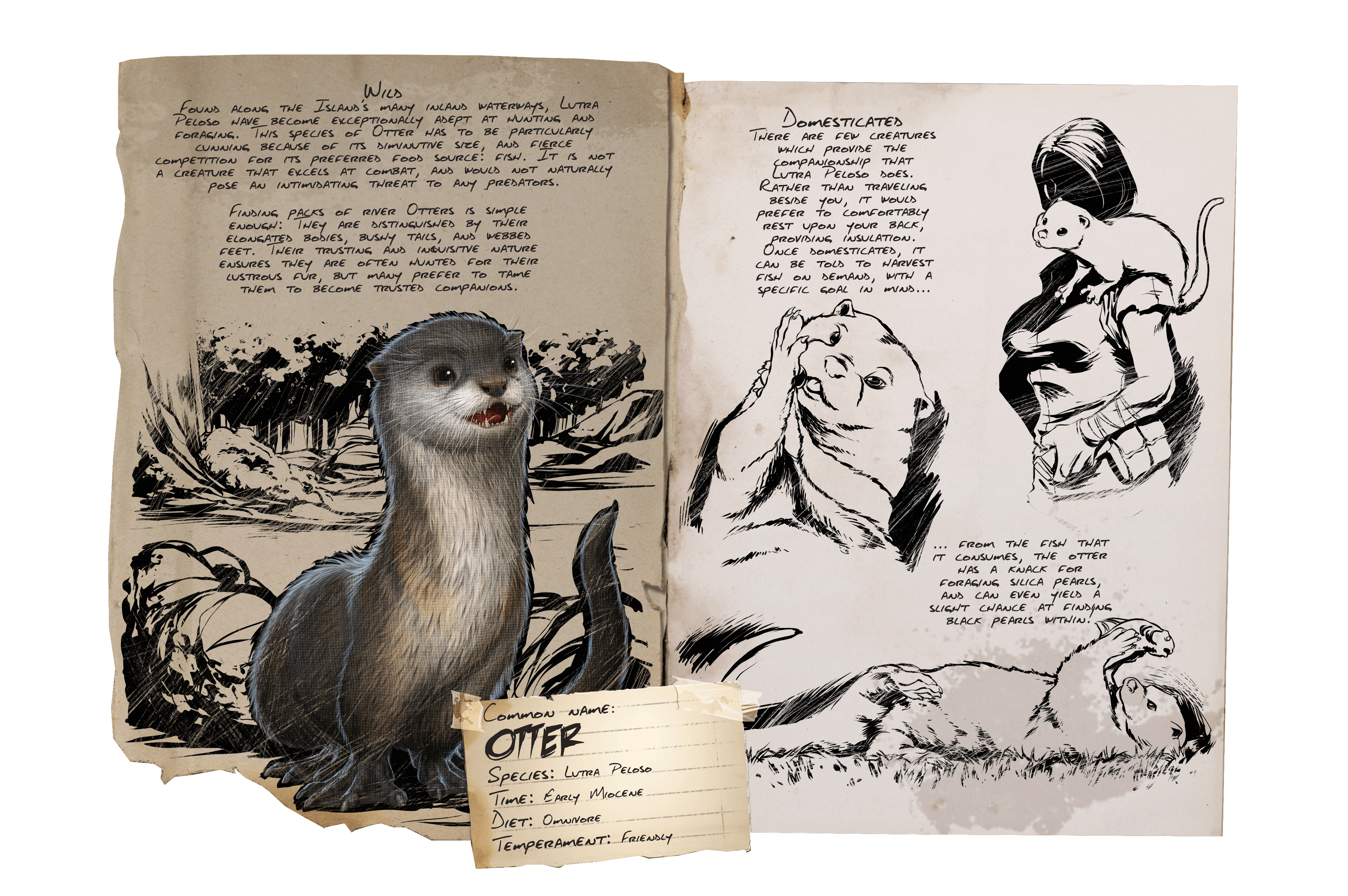 Otter &middot; Dossier