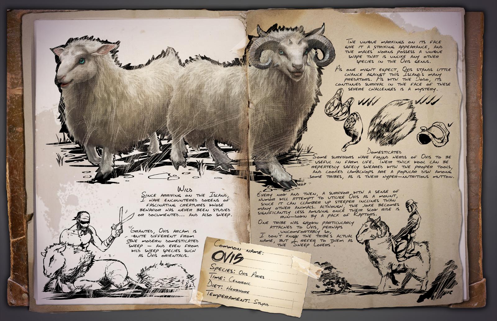 Ovis &middot; Dossier