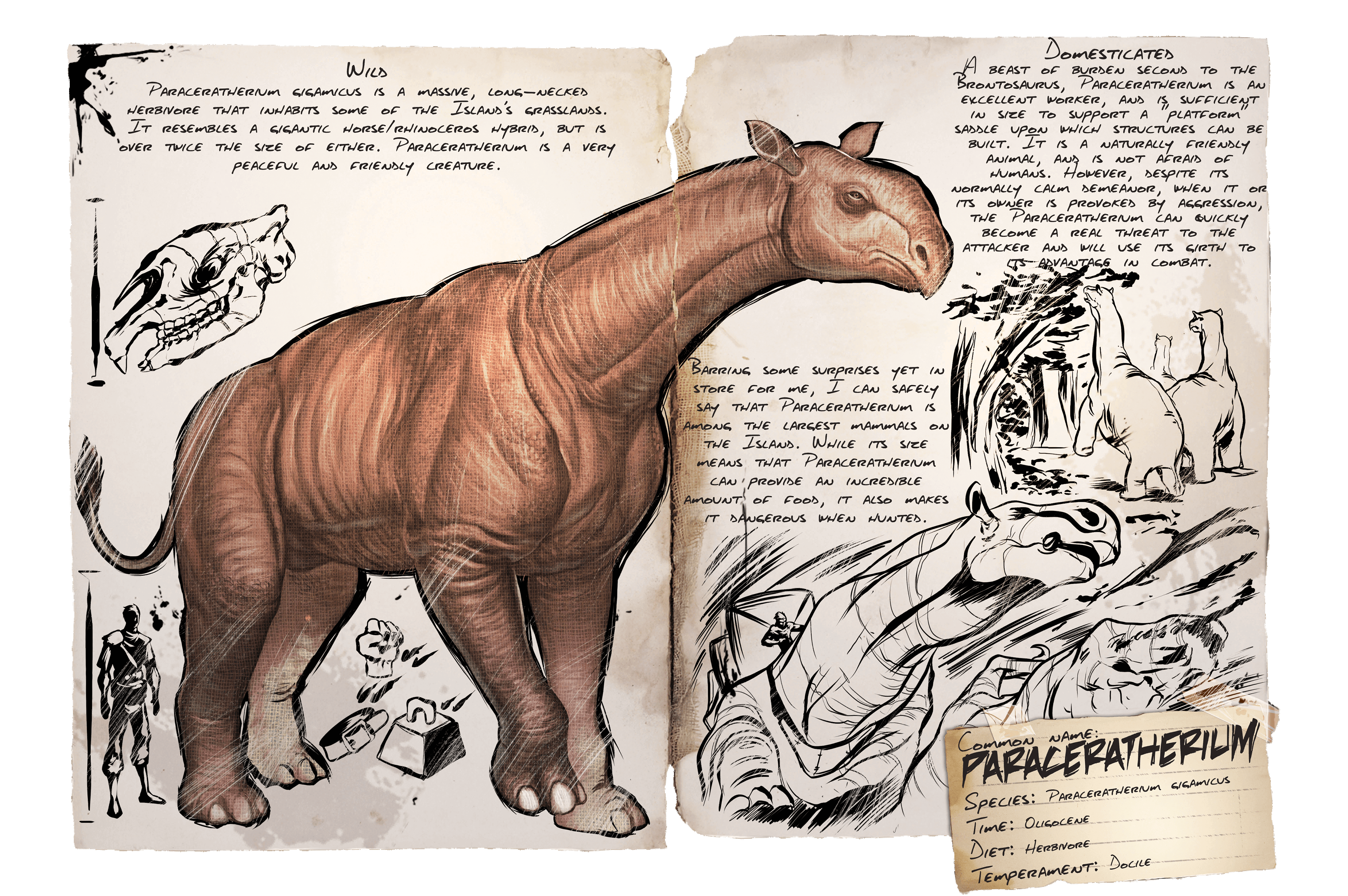 Paraceratherium &middot; Dossier