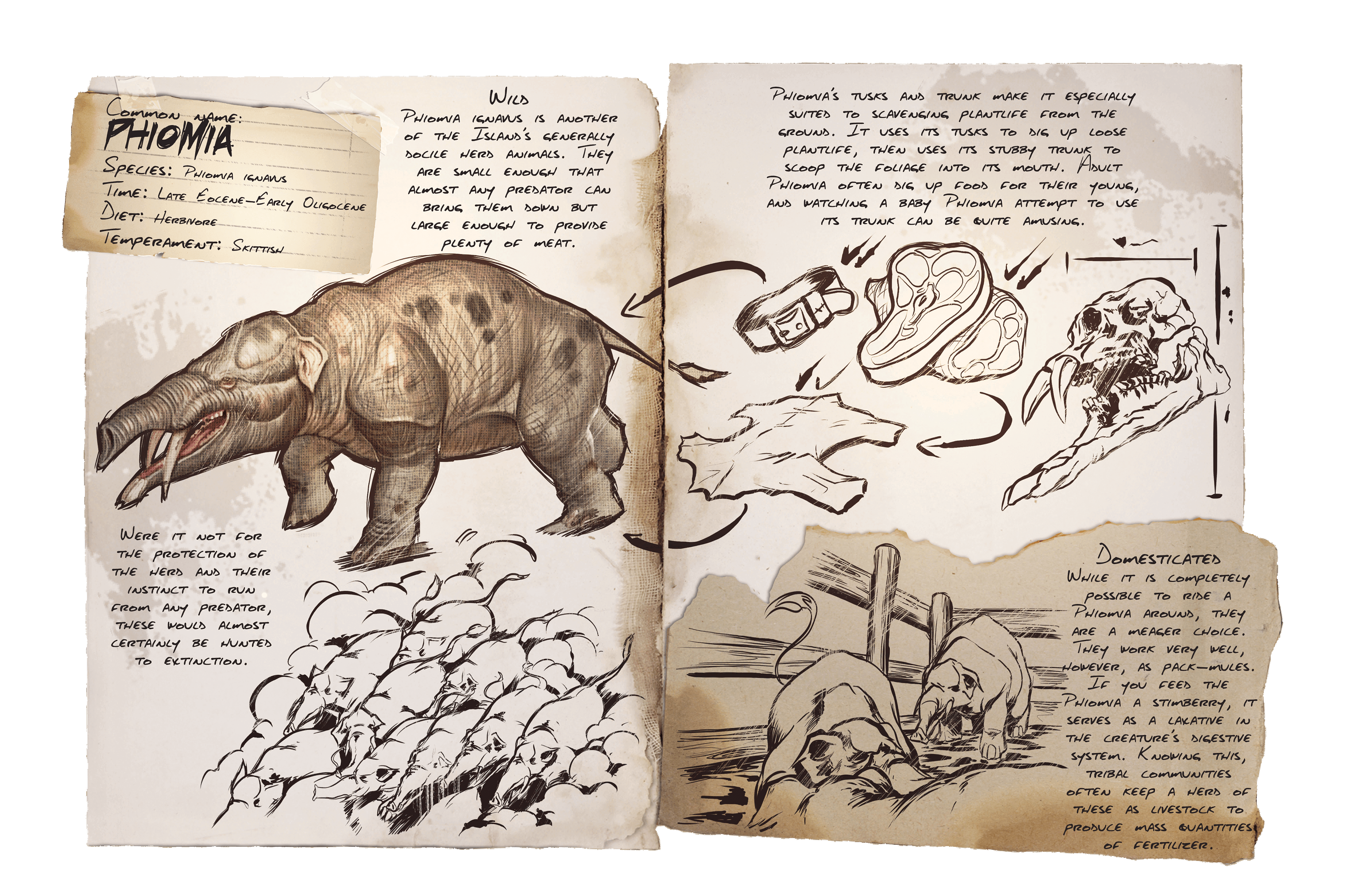 Phiomia &middot; Dossier