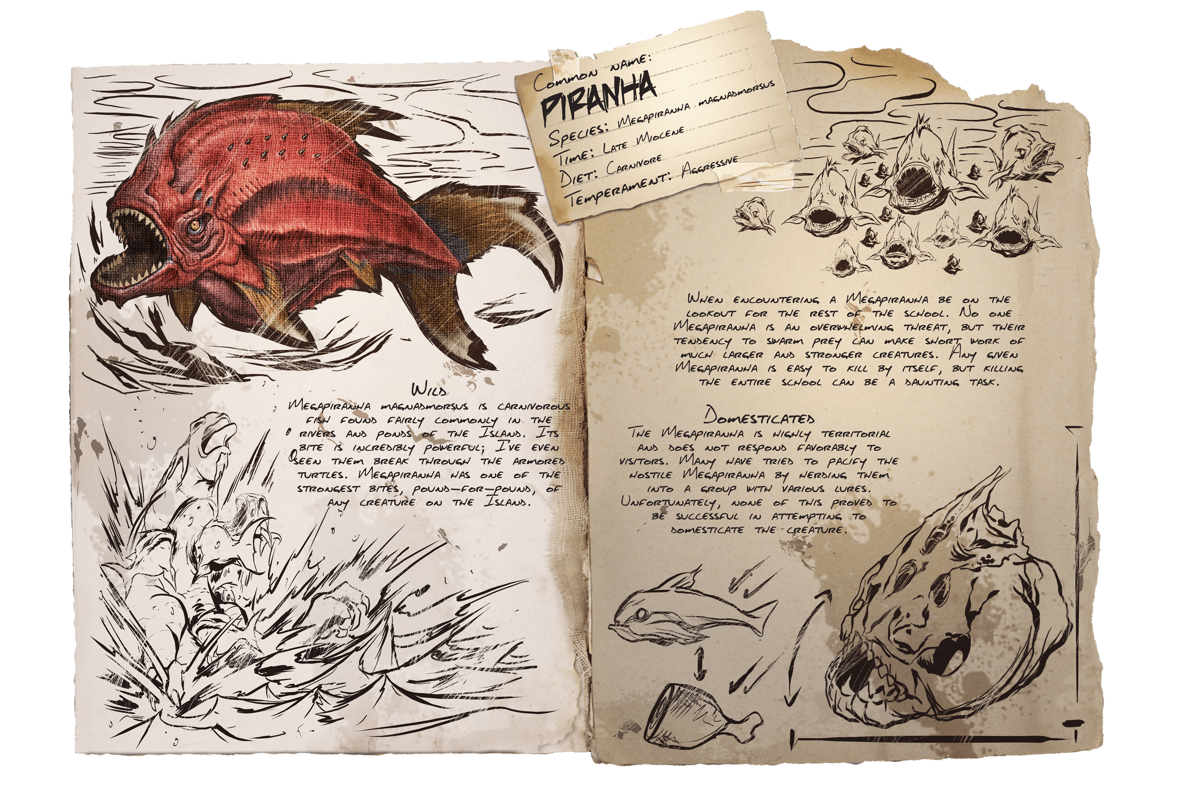 Piranha &middot; Dossier