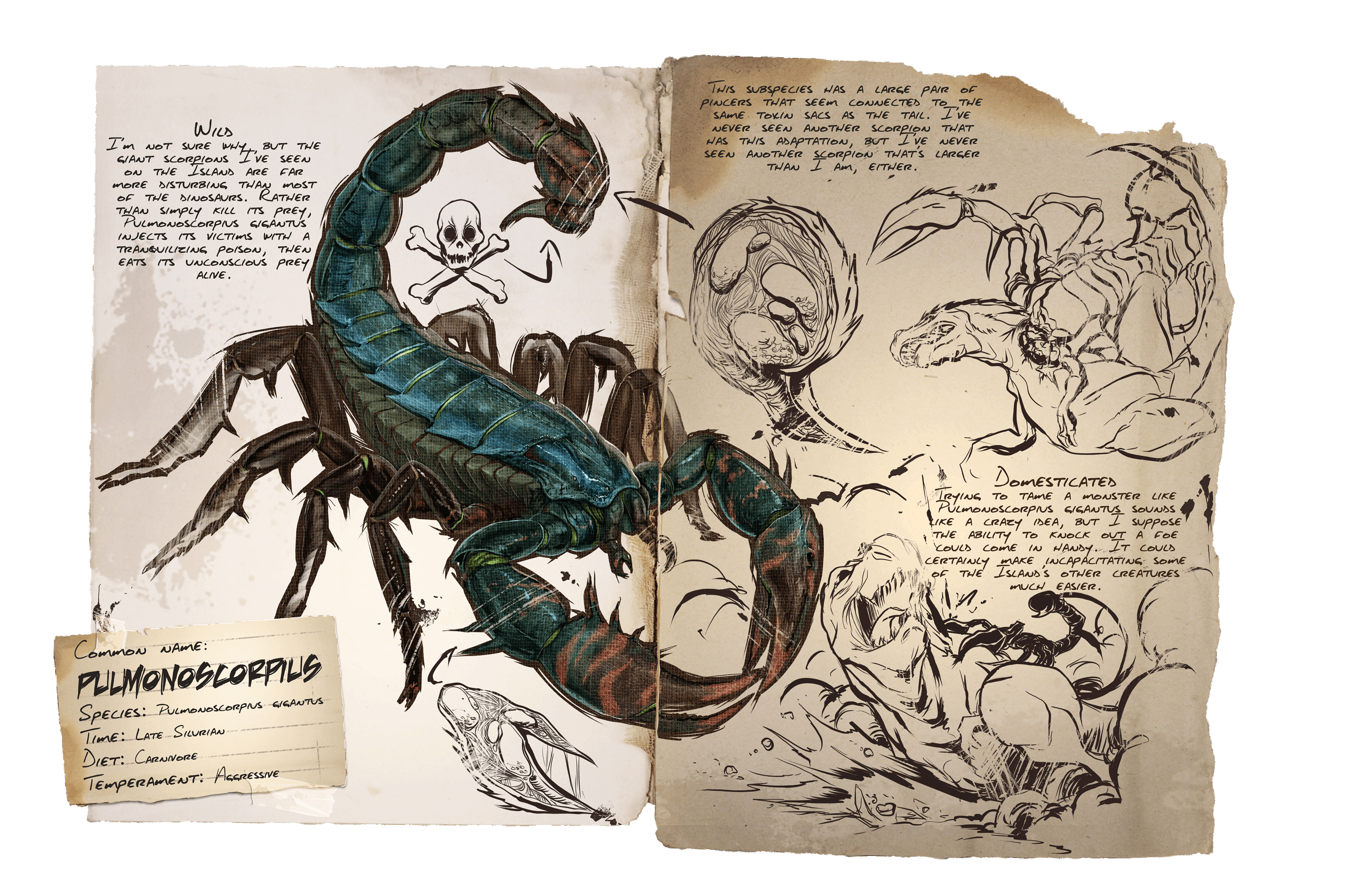 Pulmonoscorpius &middot; Dossier