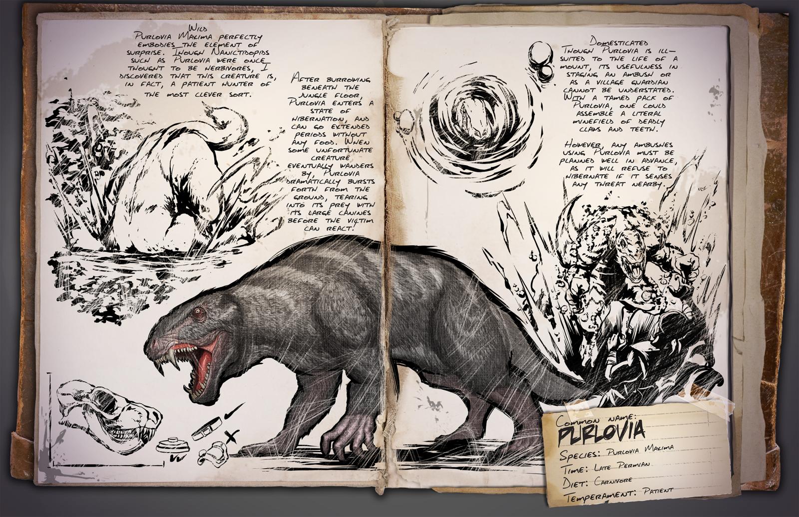 Purlovia &middot; Dossier