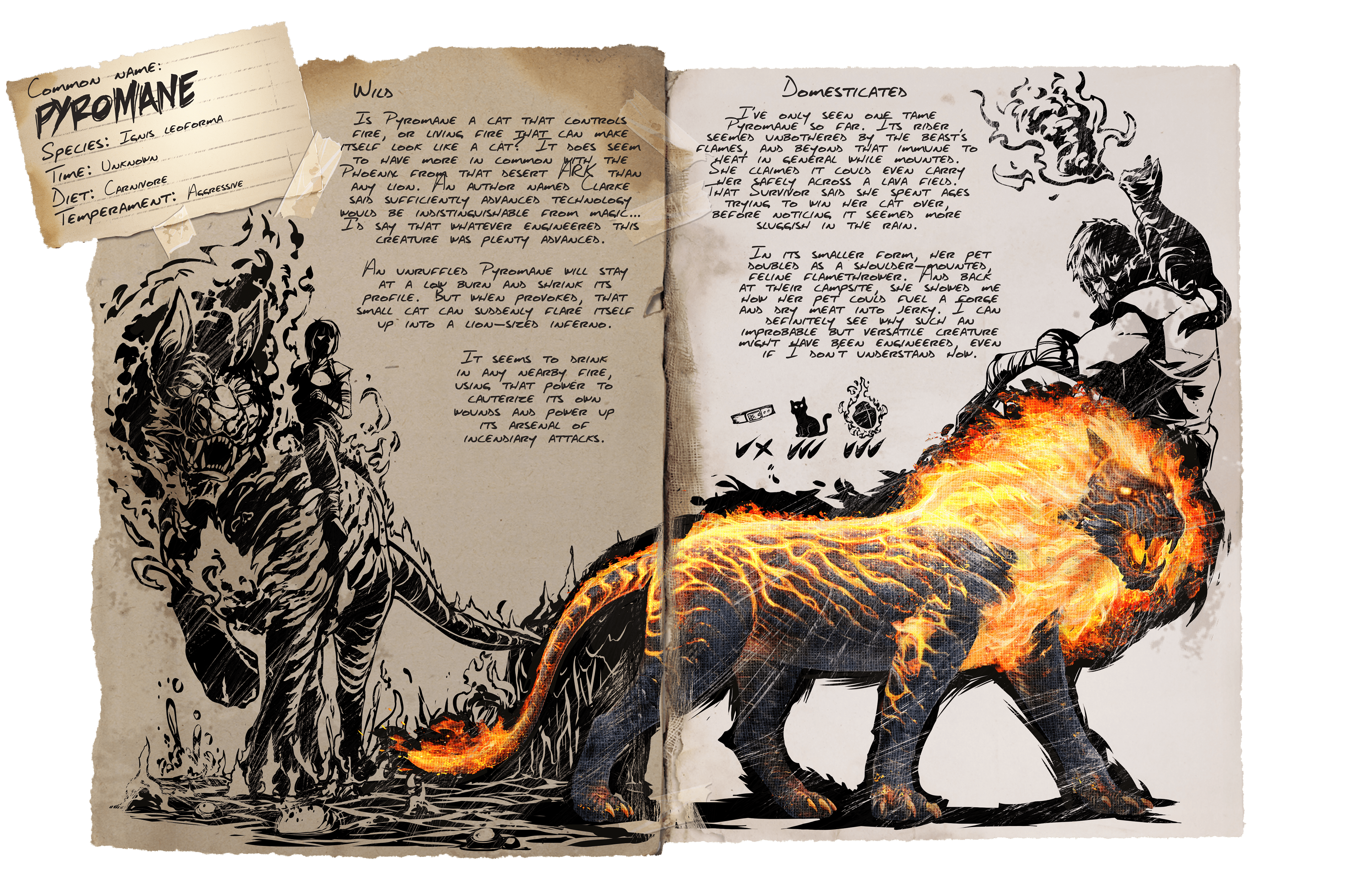 Pyromane &middot; Dossier