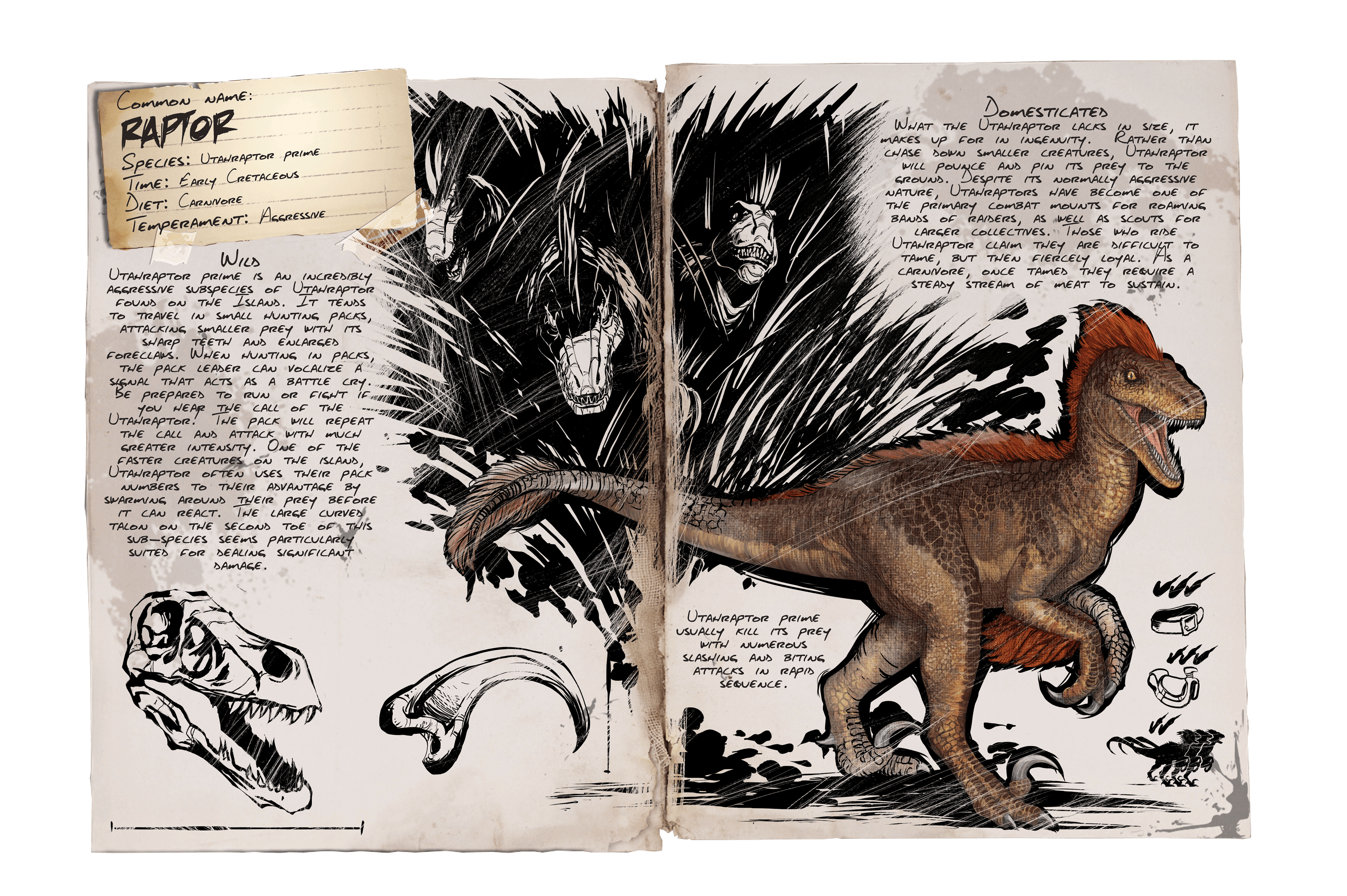Raptor &middot; Dossier