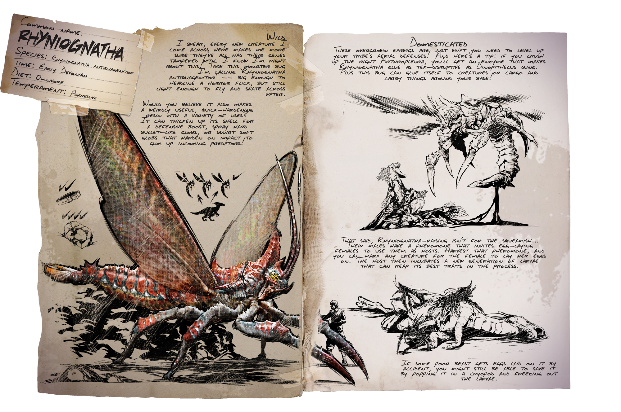 Rhyniognatha &middot; Dossier
