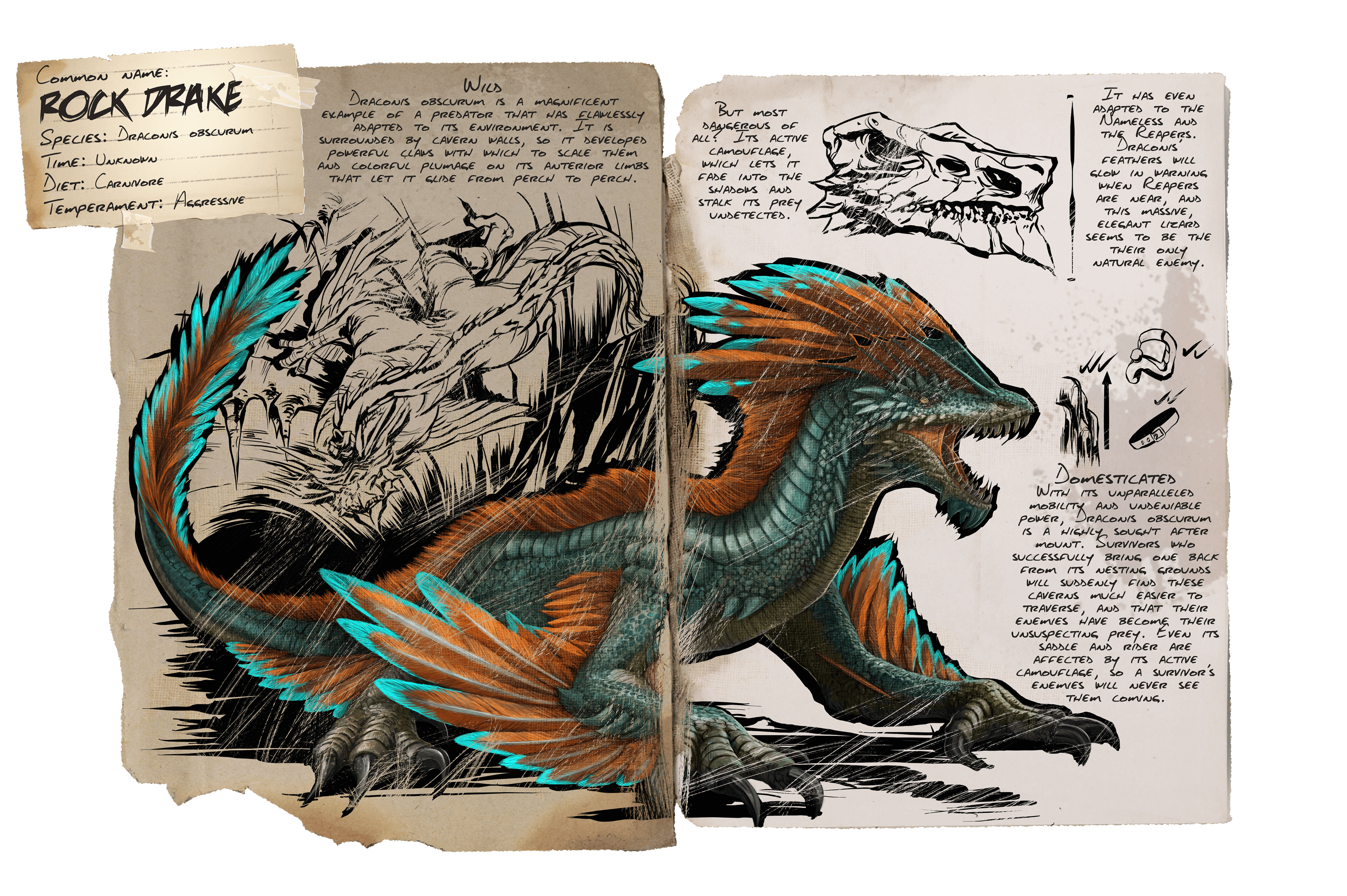 Rock Drake &middot; Dossier