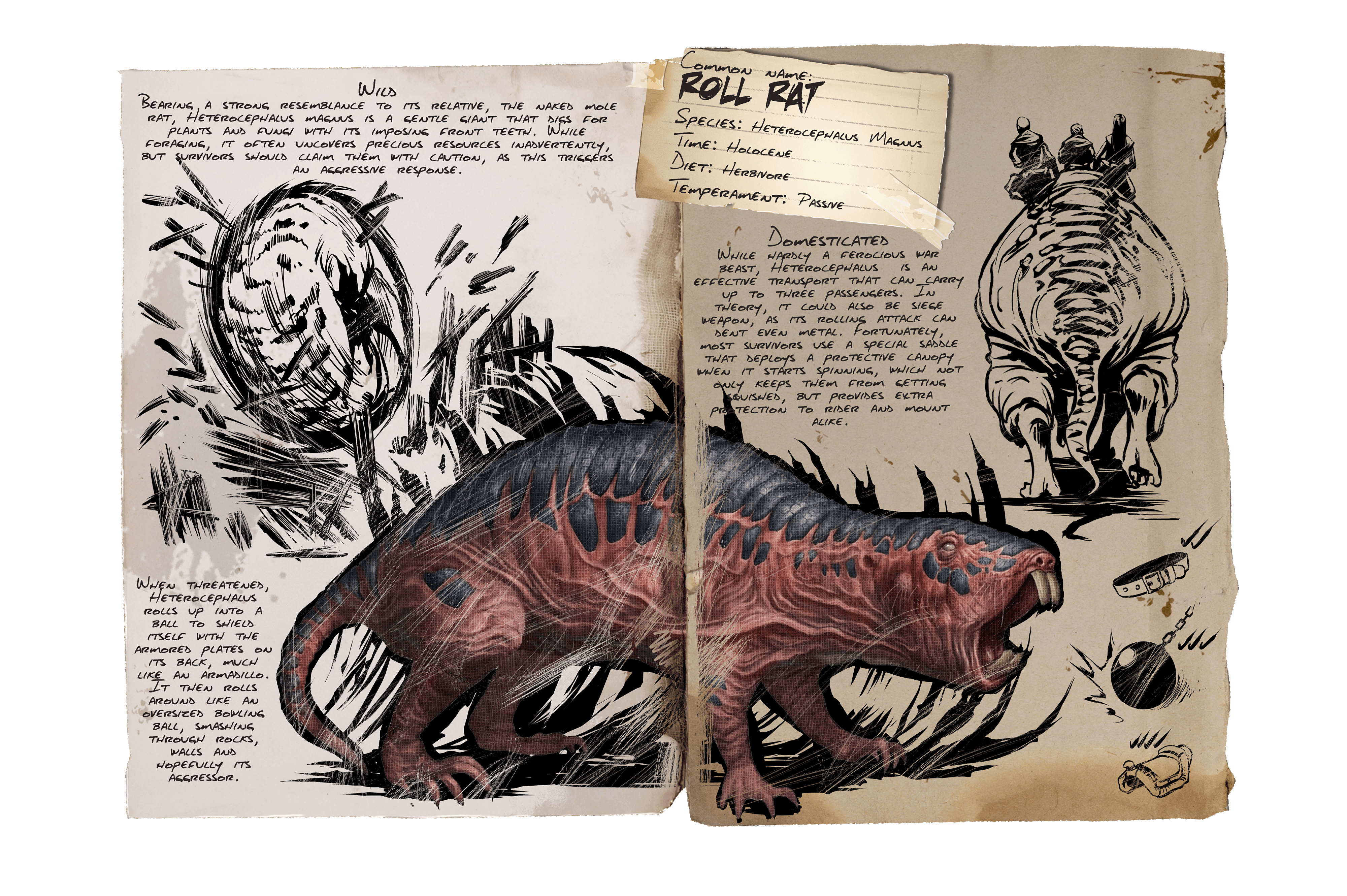 Roll Rat &middot; Dossier