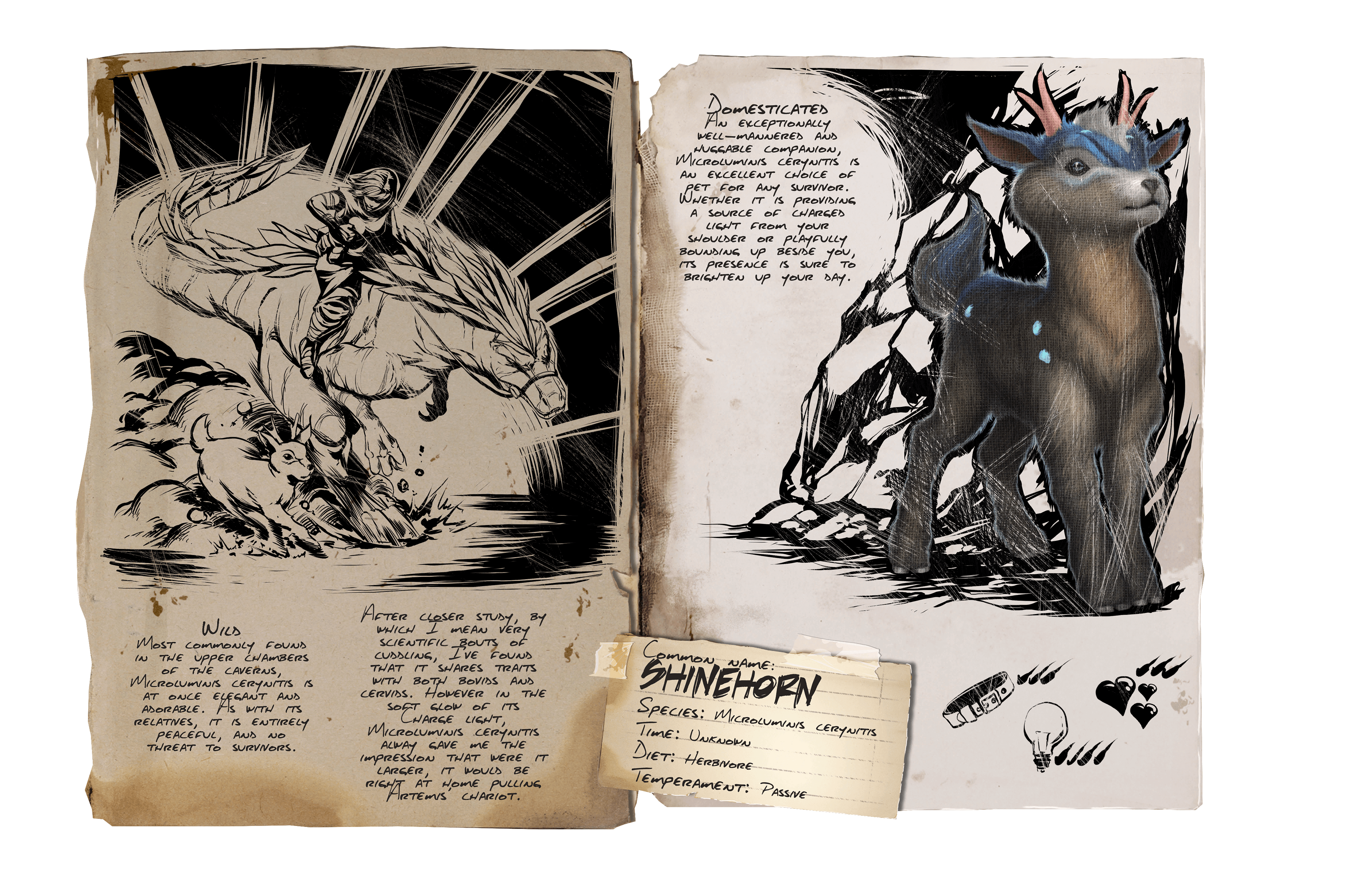 Shinehorn · Dossier