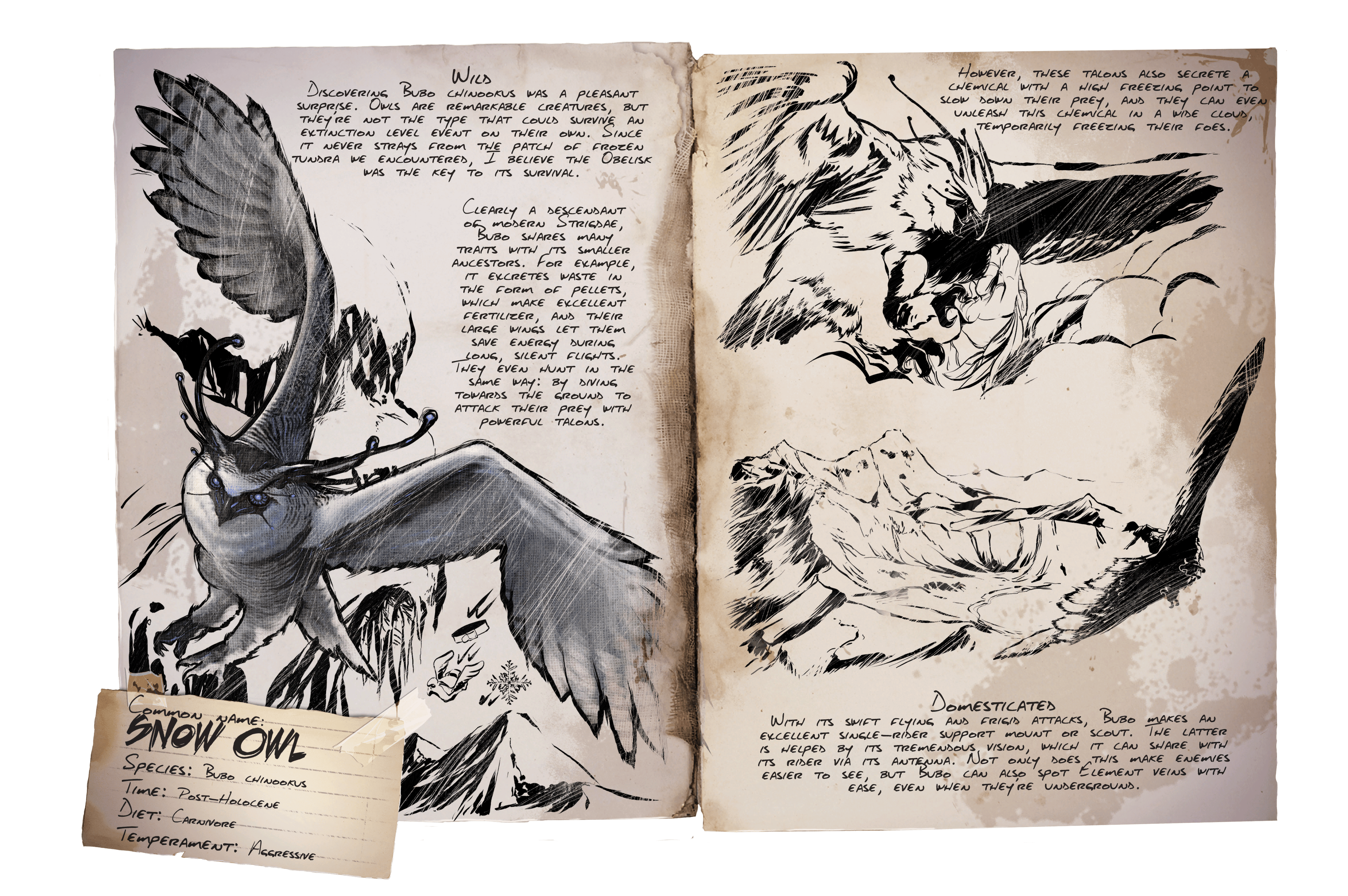 Snow Owl &middot; Dossier