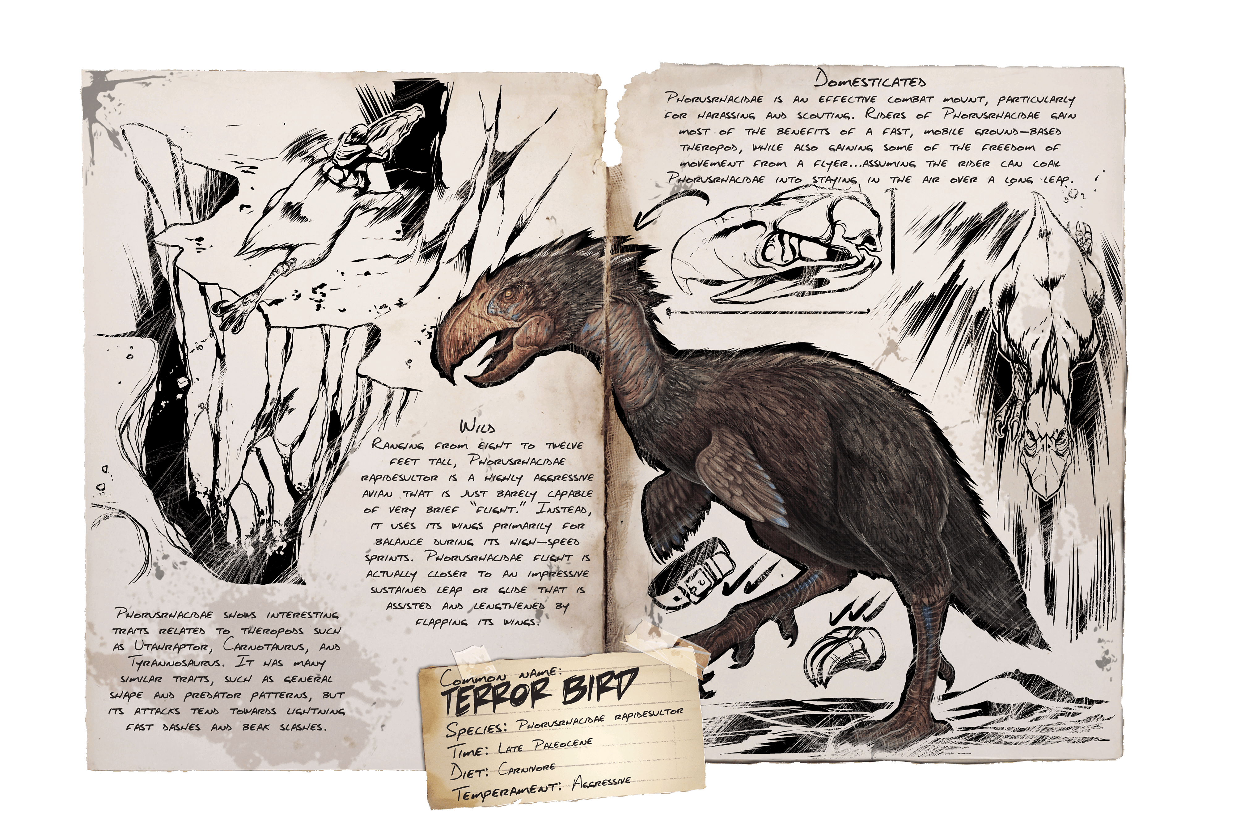 Terror Bird &middot; Dossier
